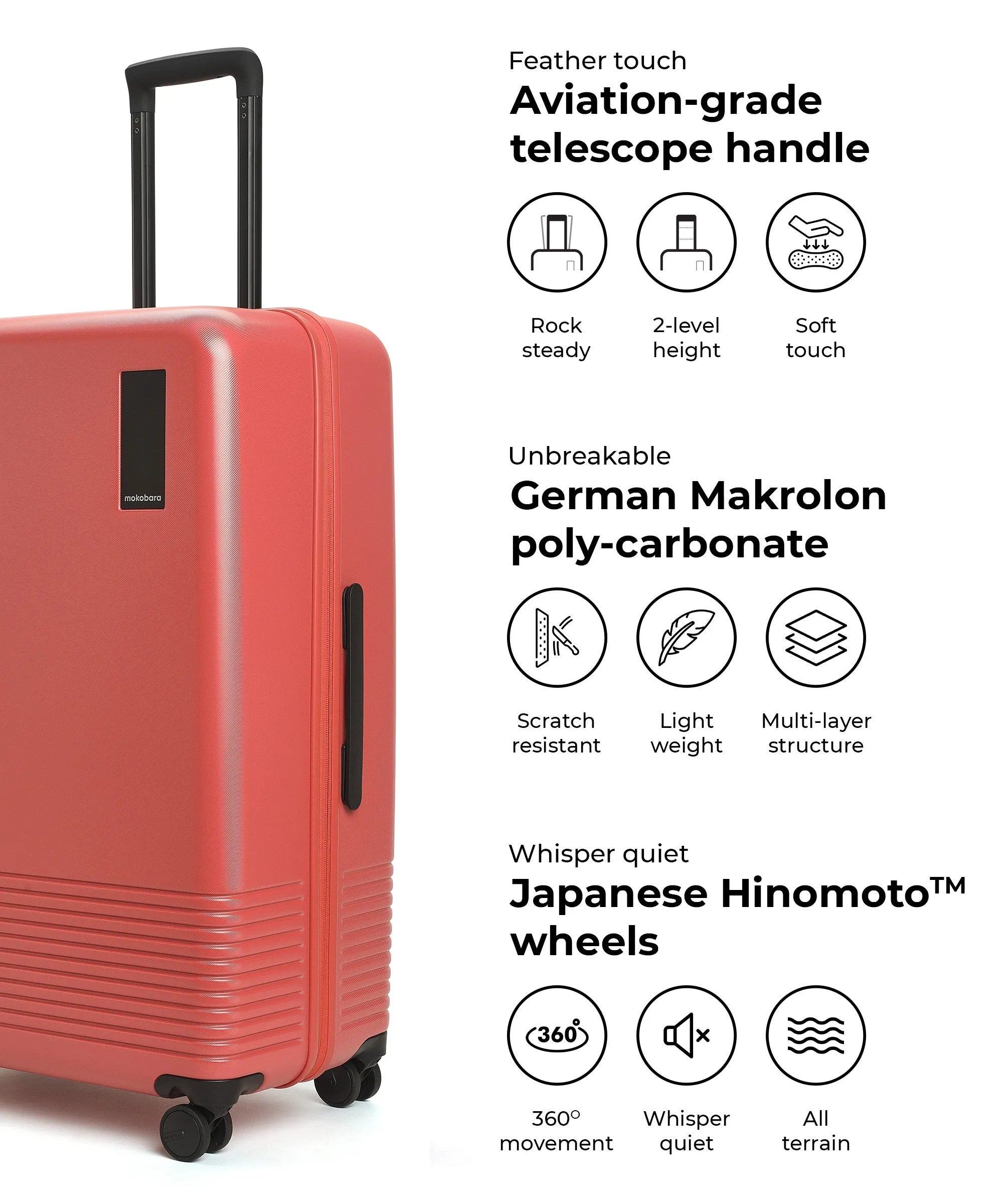 Color_New Standard (Limited Edition) | The Check-in Large Luggage