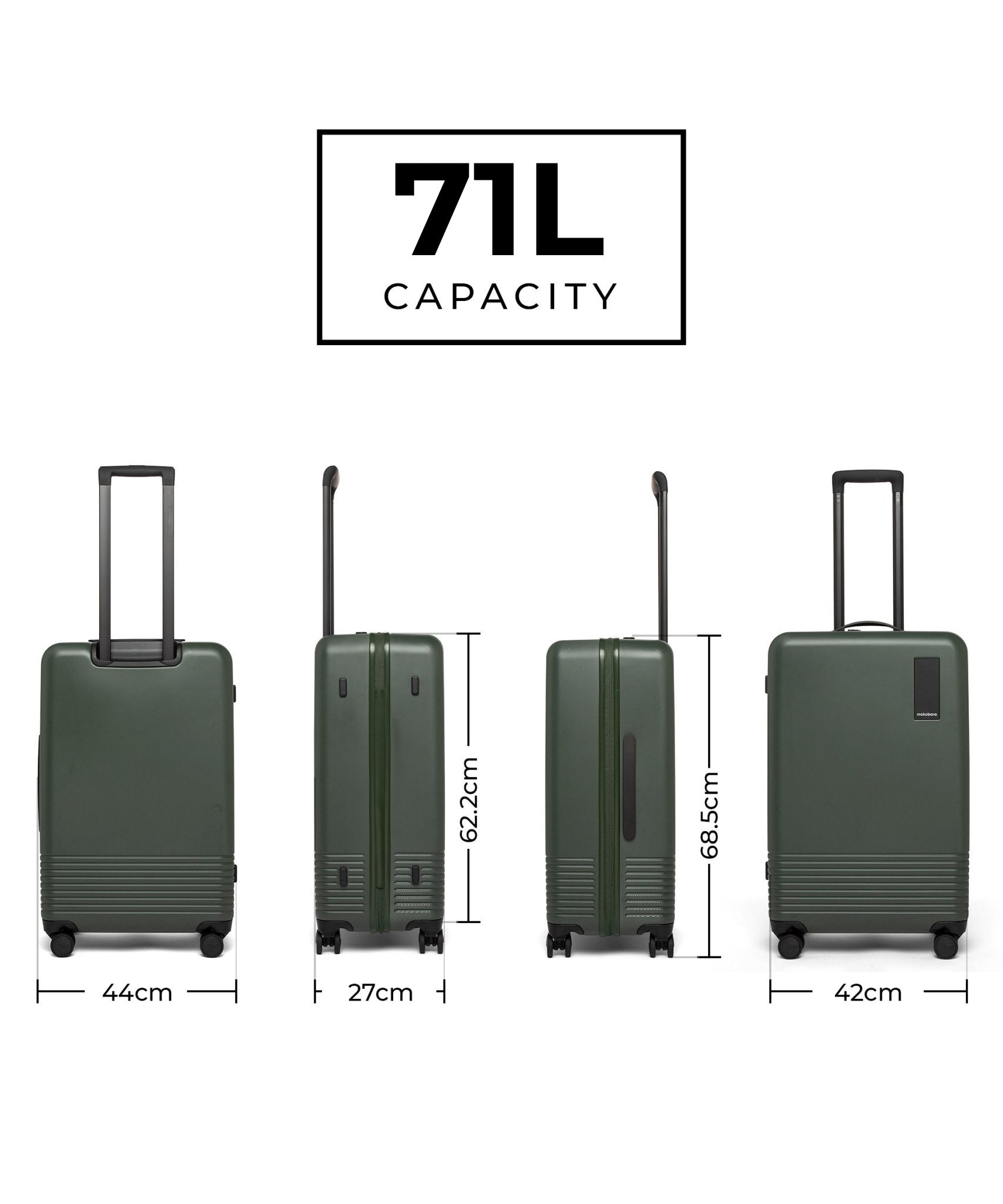 Color_Seaweed Green | The Set of 3 Luggage