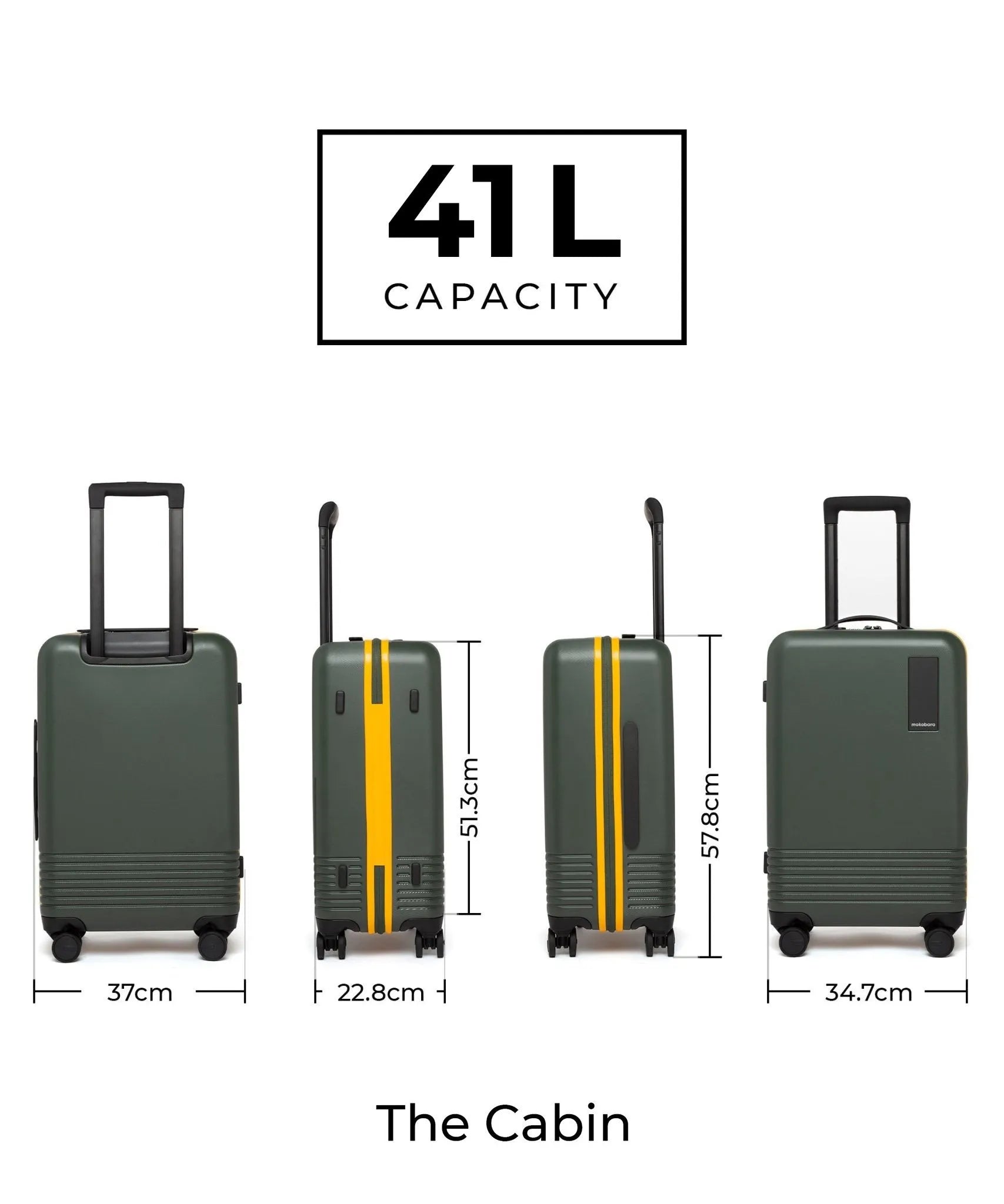 Color_Forest Sunray (Limited Edition) | The Set of 2 Luggage