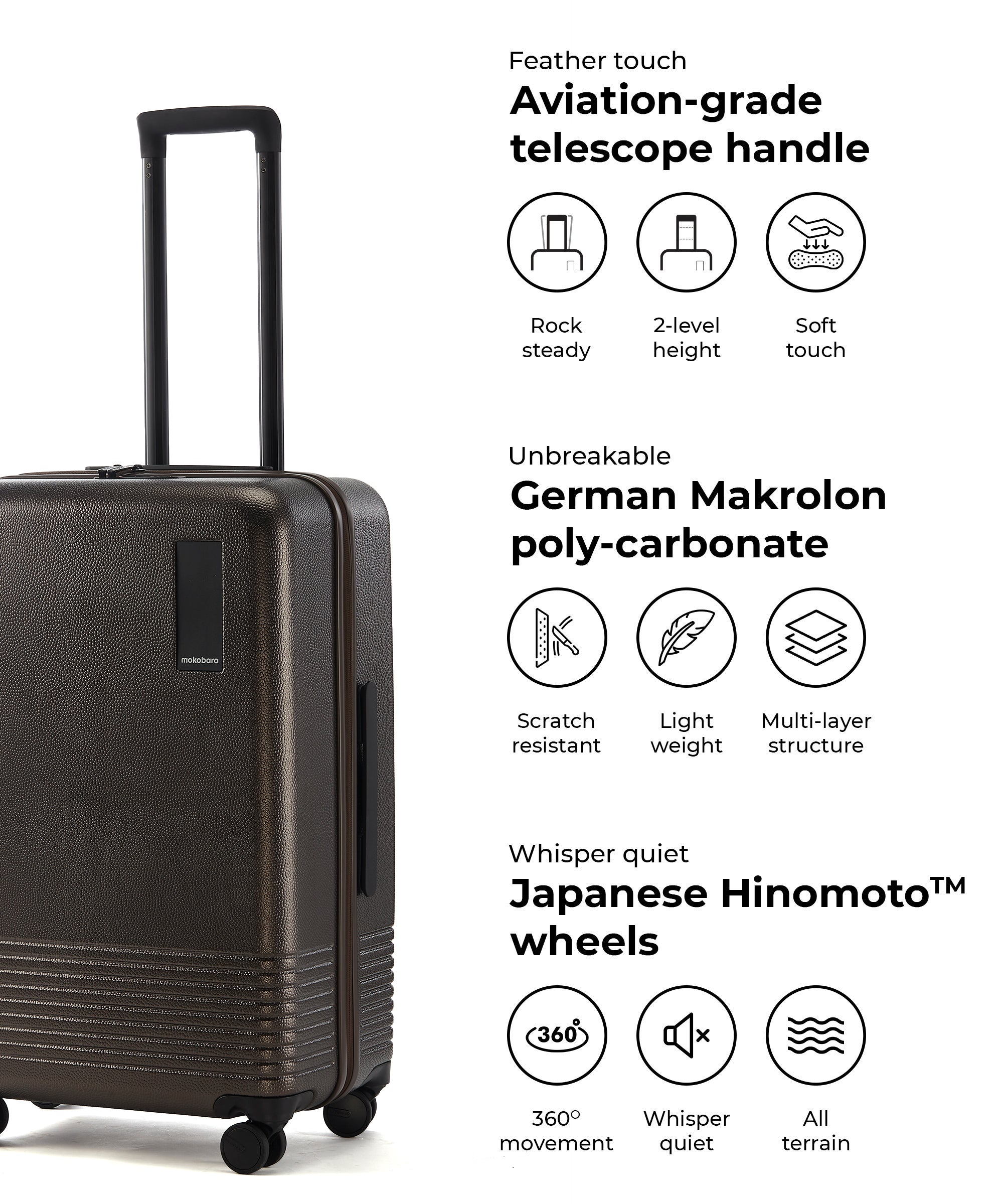 Color_After Hours | The Set of 3 Luggage