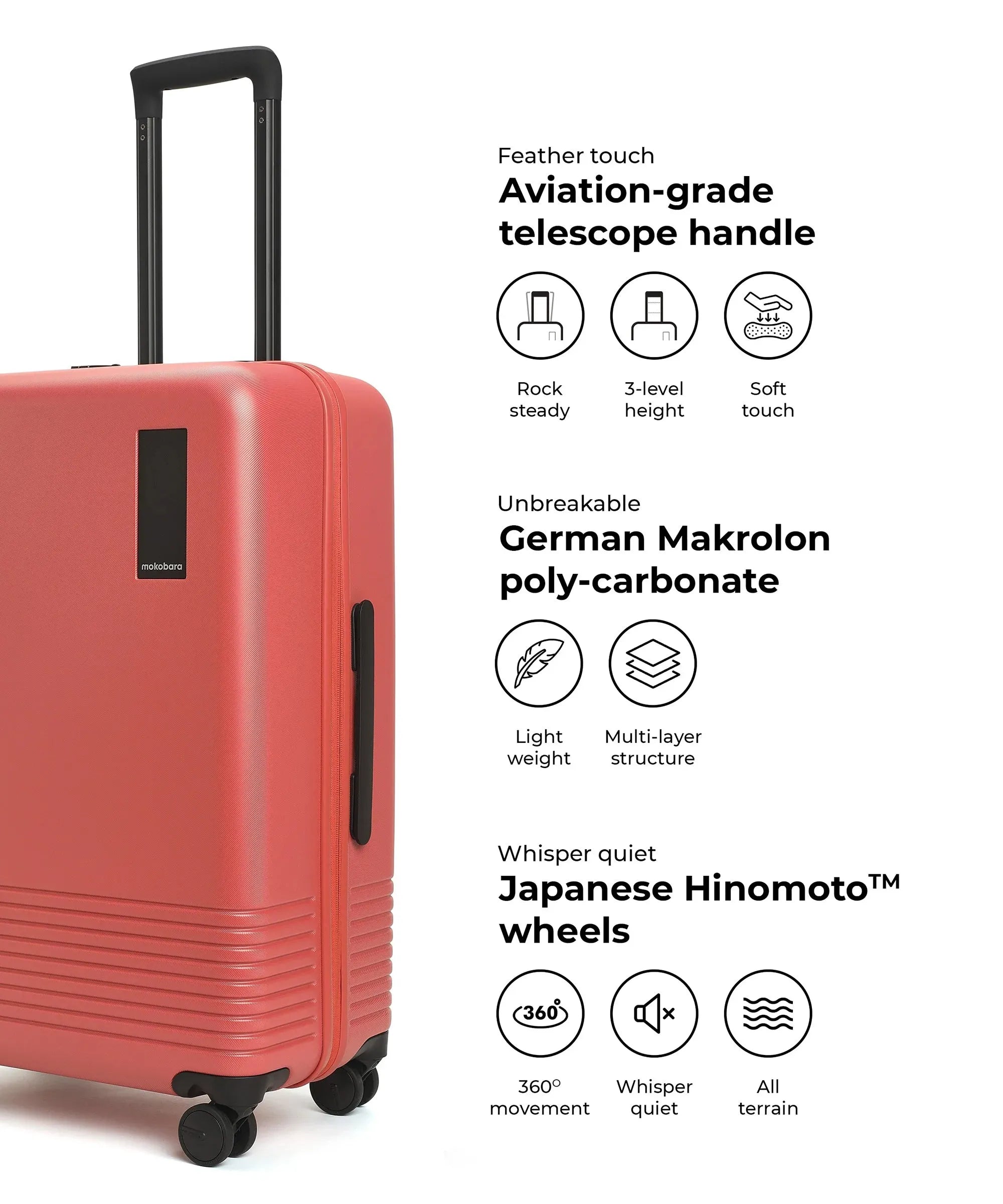 Color_New Standard (Limited Edition) | The Set of 2 Luggage