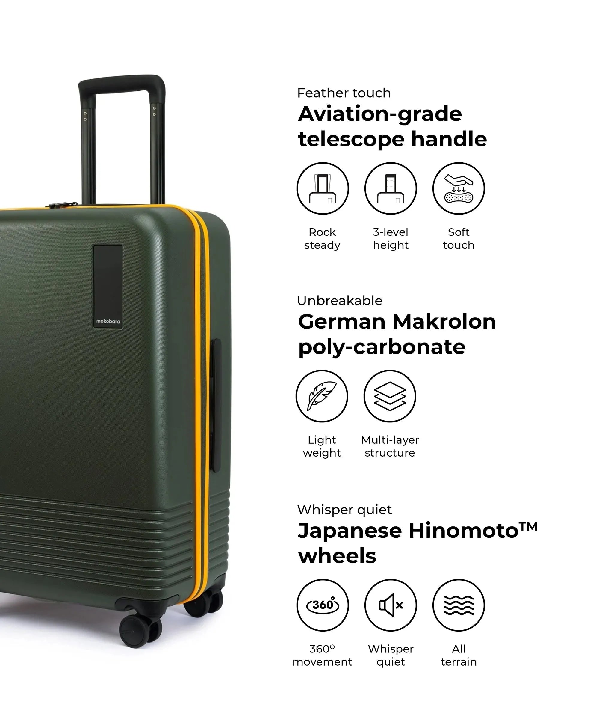Color_Forest Sunray (Limited Edition) | The Check-in Luggage