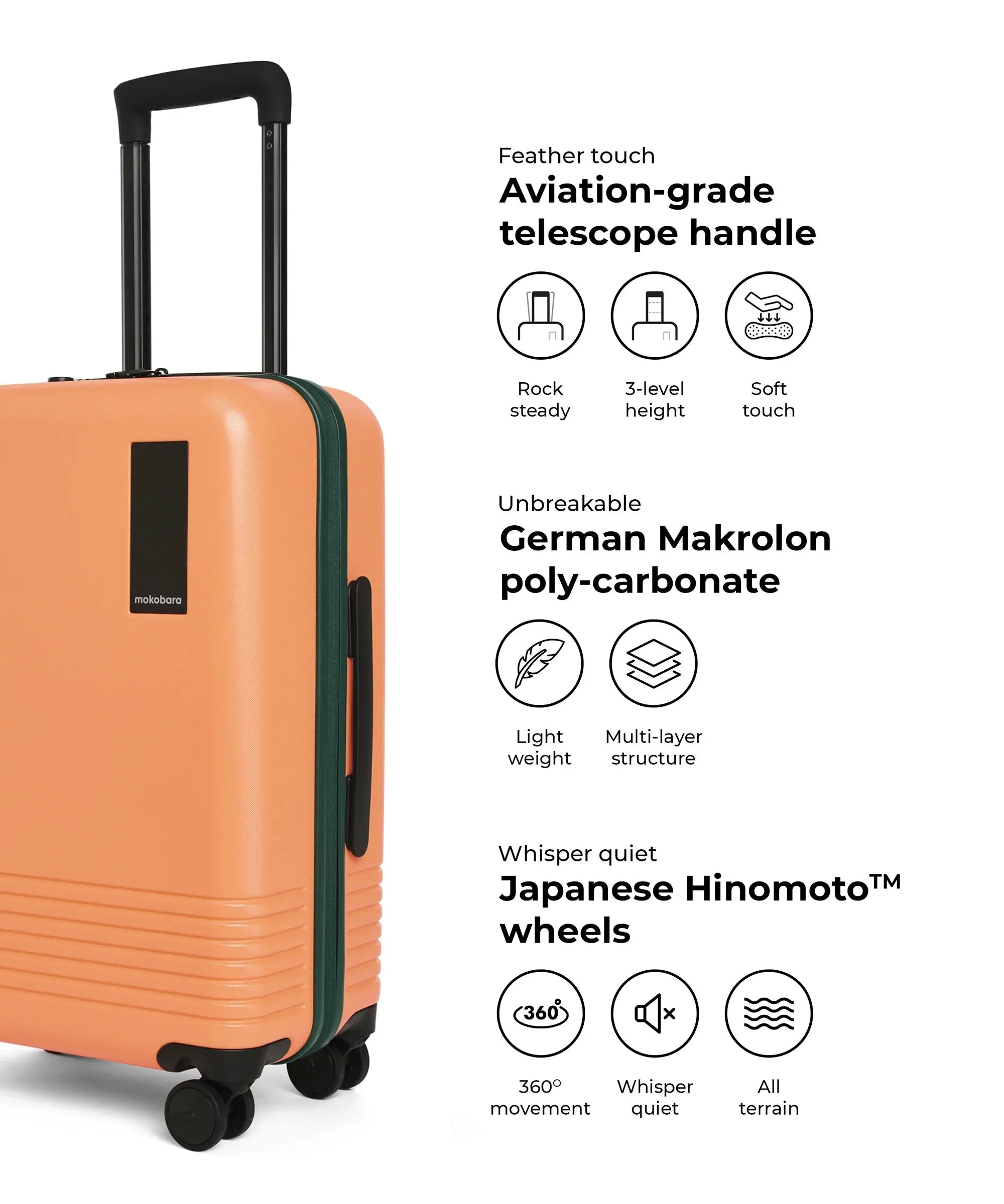 Color_Wildflower Greenray (Limited Edition) | The Set of 2 Luggage