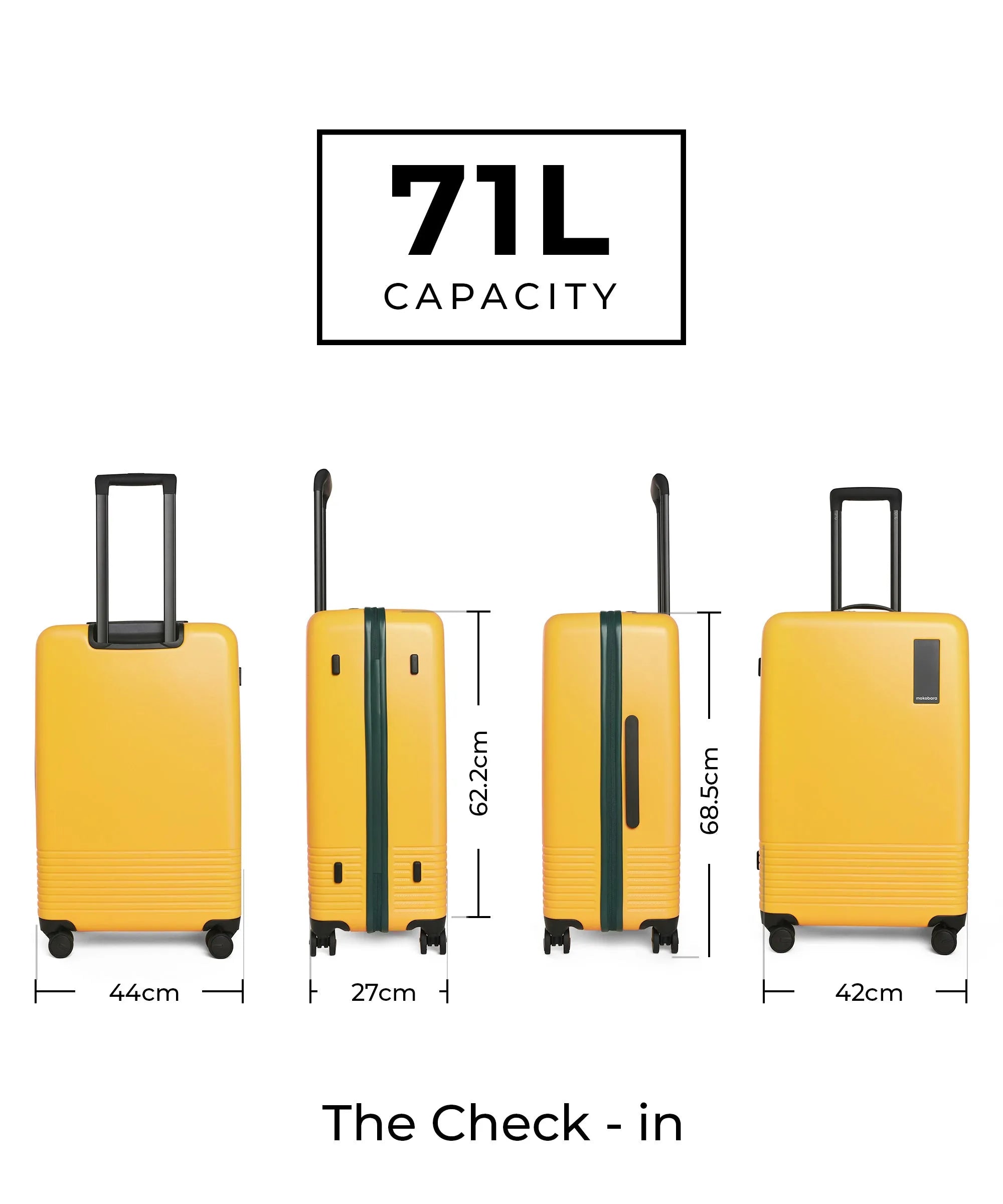 Color_Summer Greenray (Limited Edition) | The Set of 2 Luggage