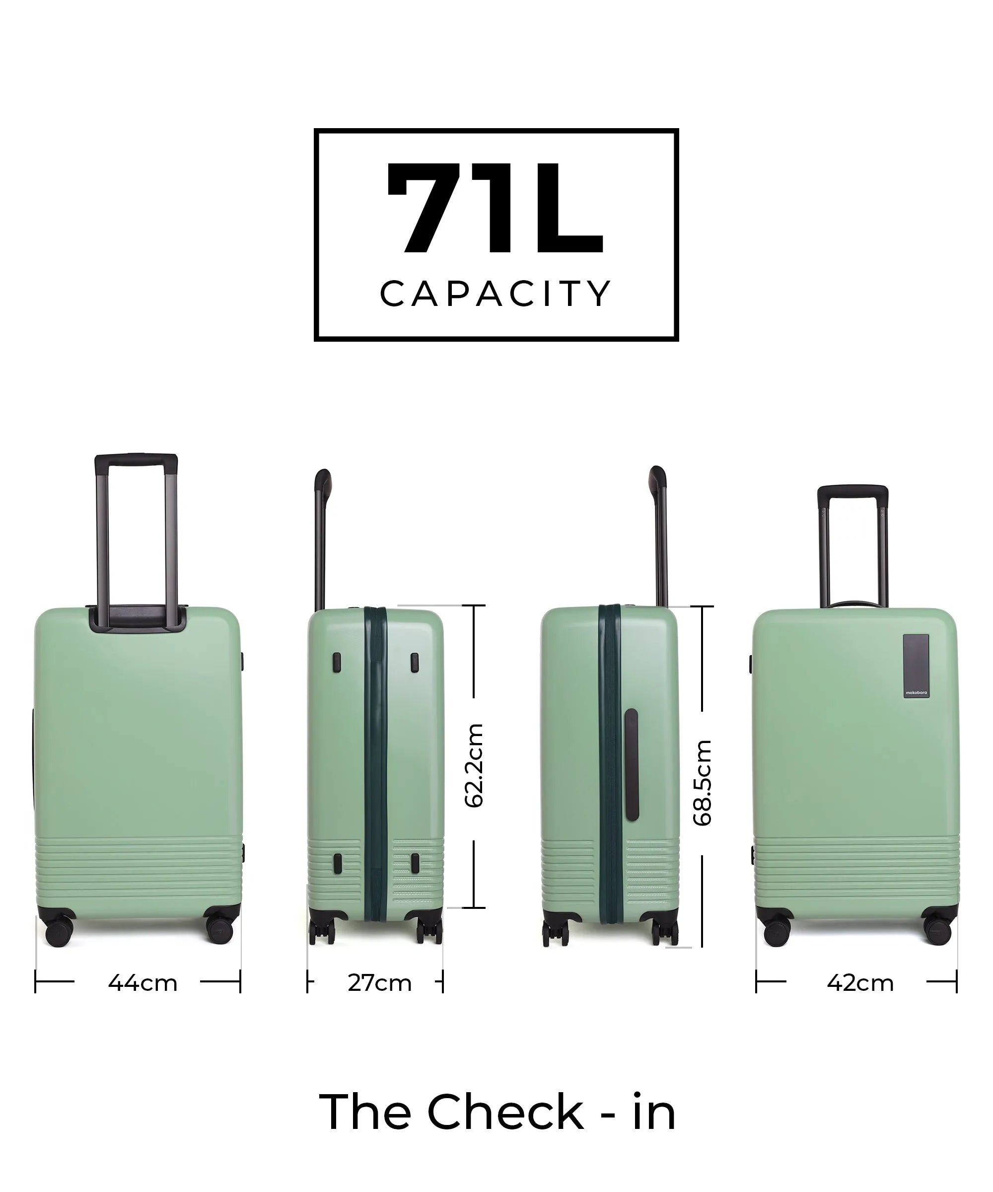 Color_Timeless Greenray (Limited Edition) | The Set of 2 Luggage