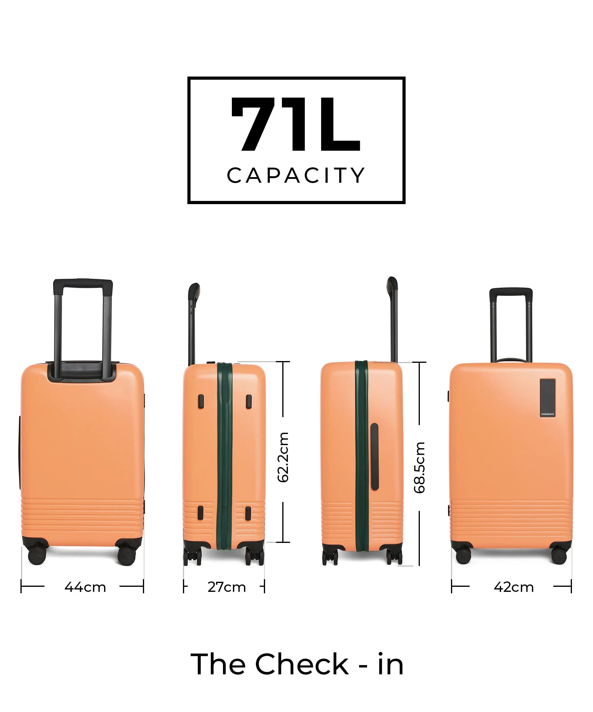 Color_Wildflower Greenray (Limited Edition) | The Set of 2 Luggage