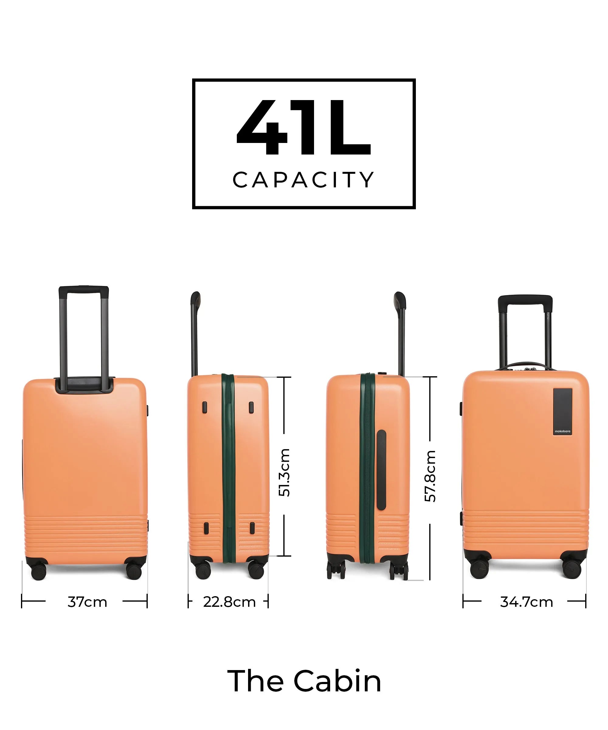 Color_Wildflower Greenray (Limited Edition) | The Set of 2 Luggage