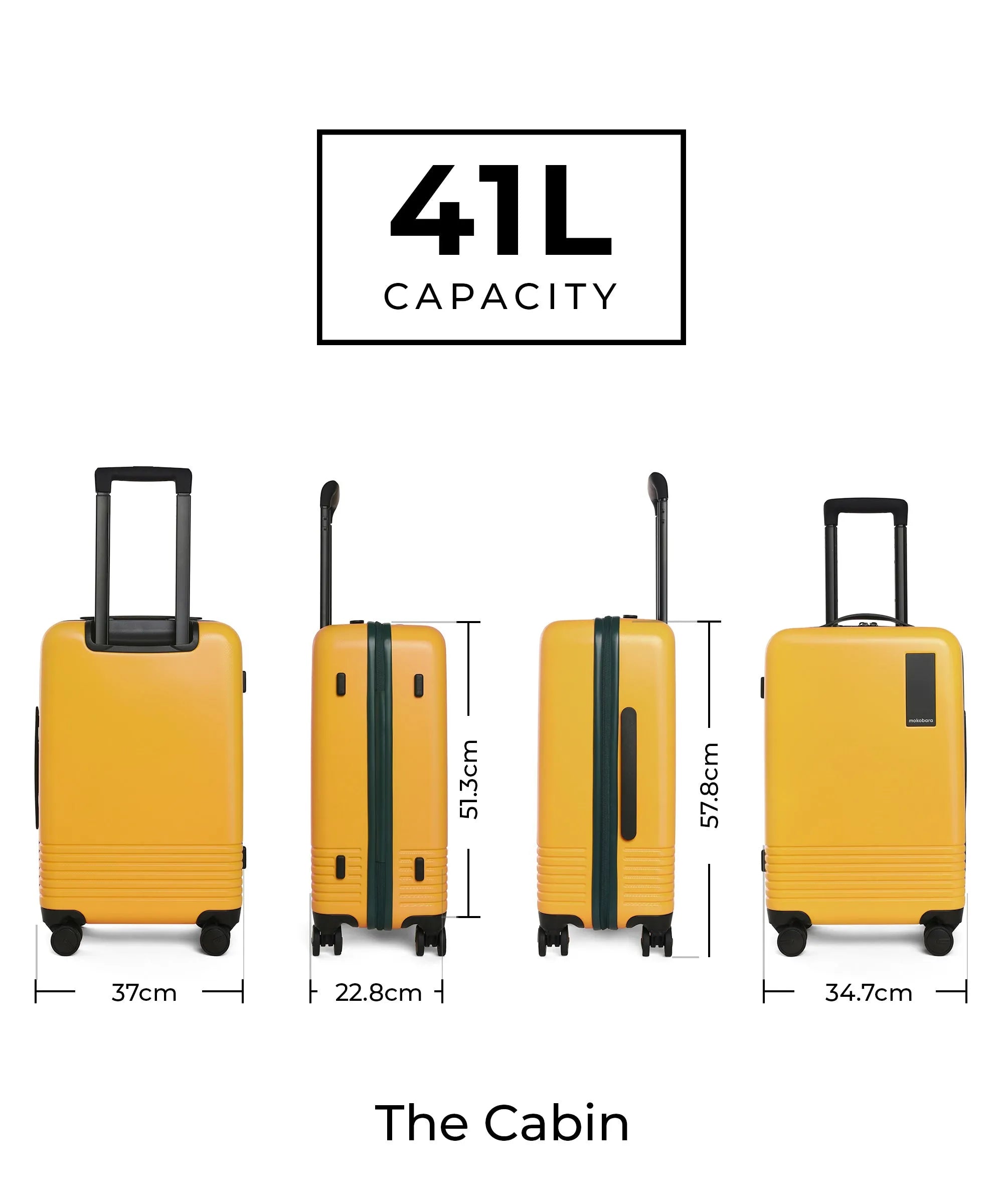 Color_Summer Greenray (Limited Edition) | The Set of 2 Luggage