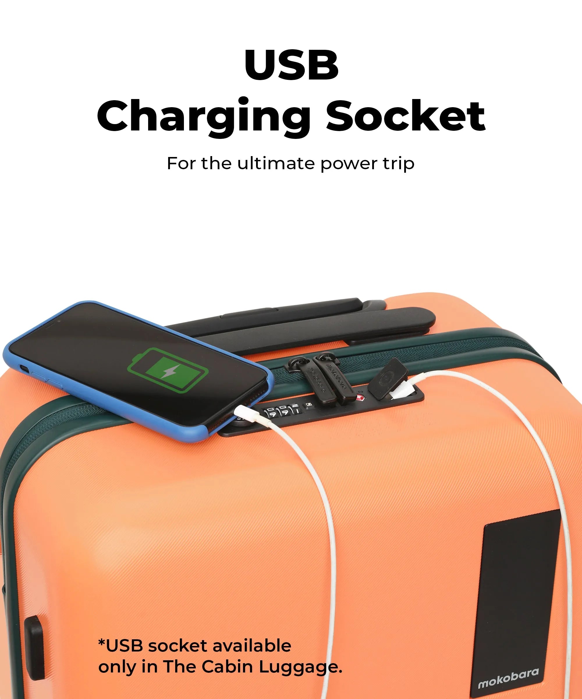 Color_Wildflower Greenray (Limited Edition) | The Set of 2 Luggage