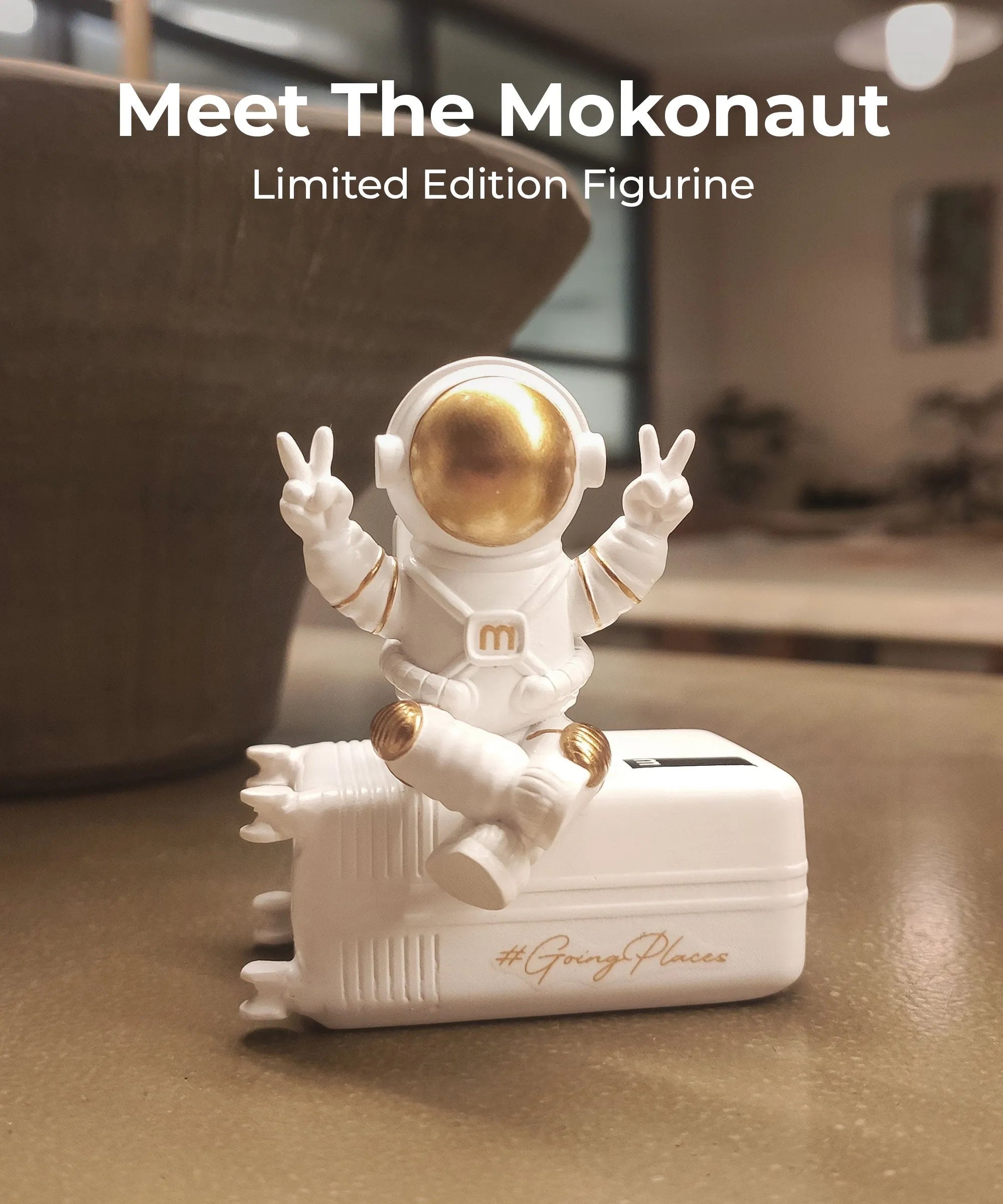 Color_ {{ variants_option }} | The Mokonaut