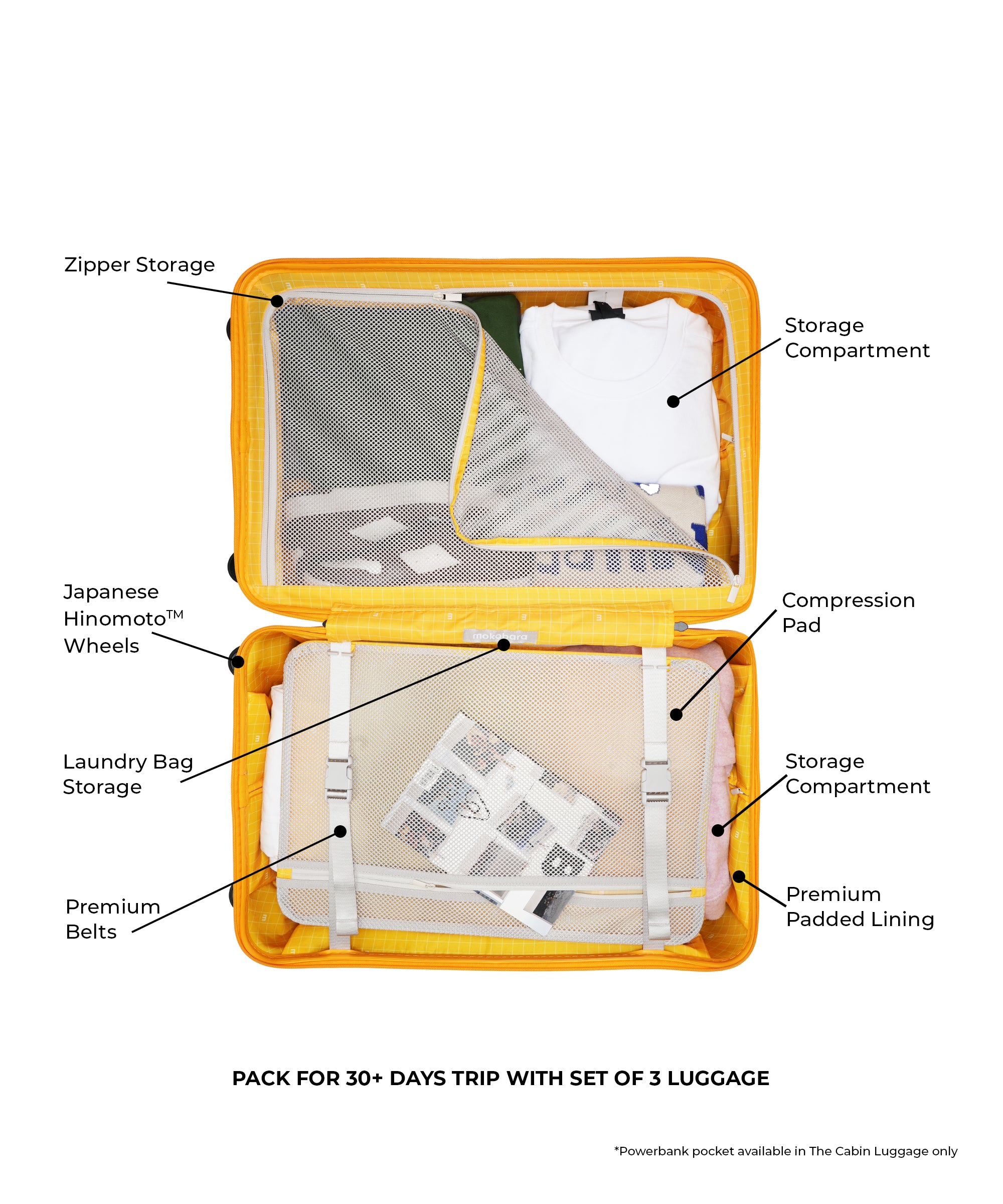 Color_Million Dollar (Premium Texture) | Set of 3 Luggage