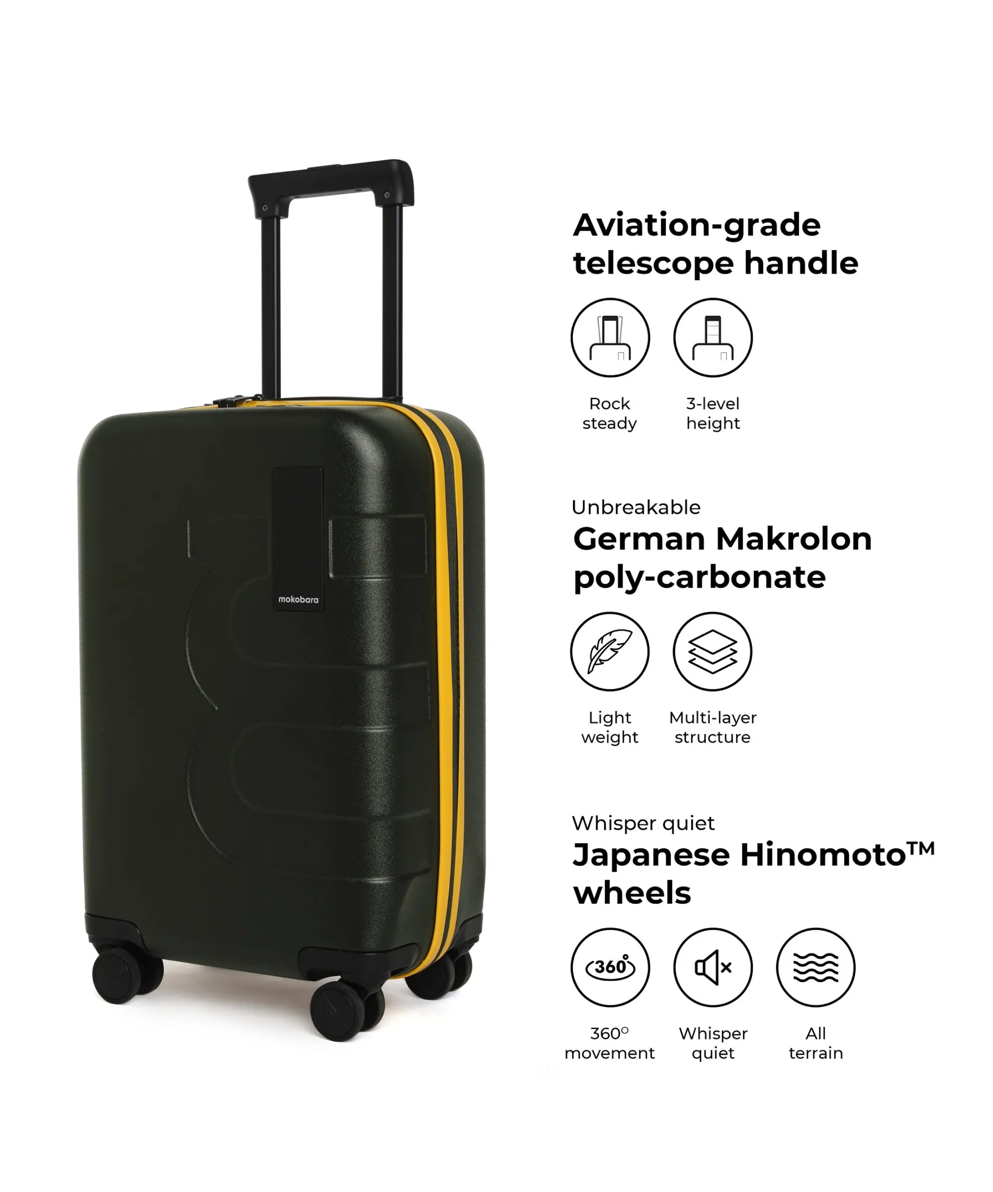 Color_4AM Forest Sunray (Limited Edition) | The Em Cabin Luggage