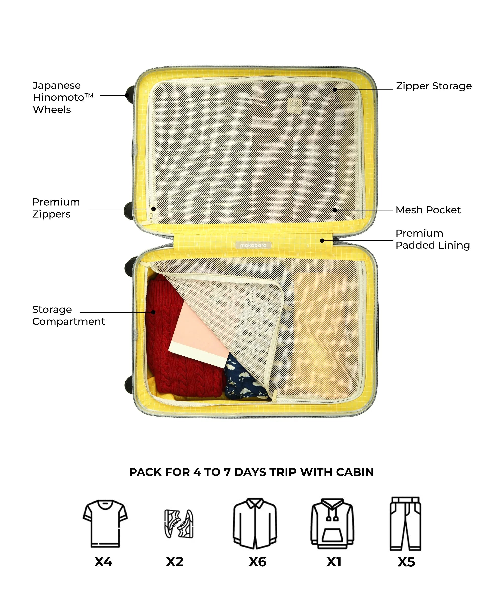Color_4AM Forest Sunray (Limited Edition) | The Em Cabin Luggage