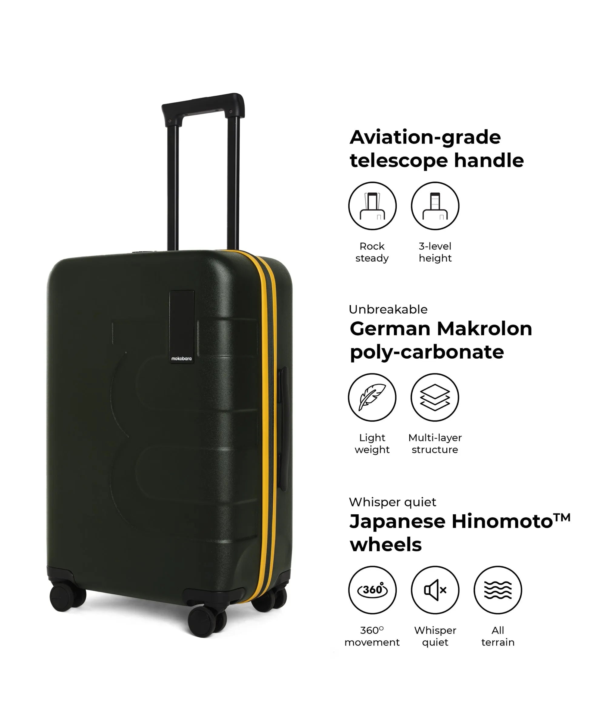 Color_4AM Forest Sunray (Limited Edition) | The Em Check-In Luggage