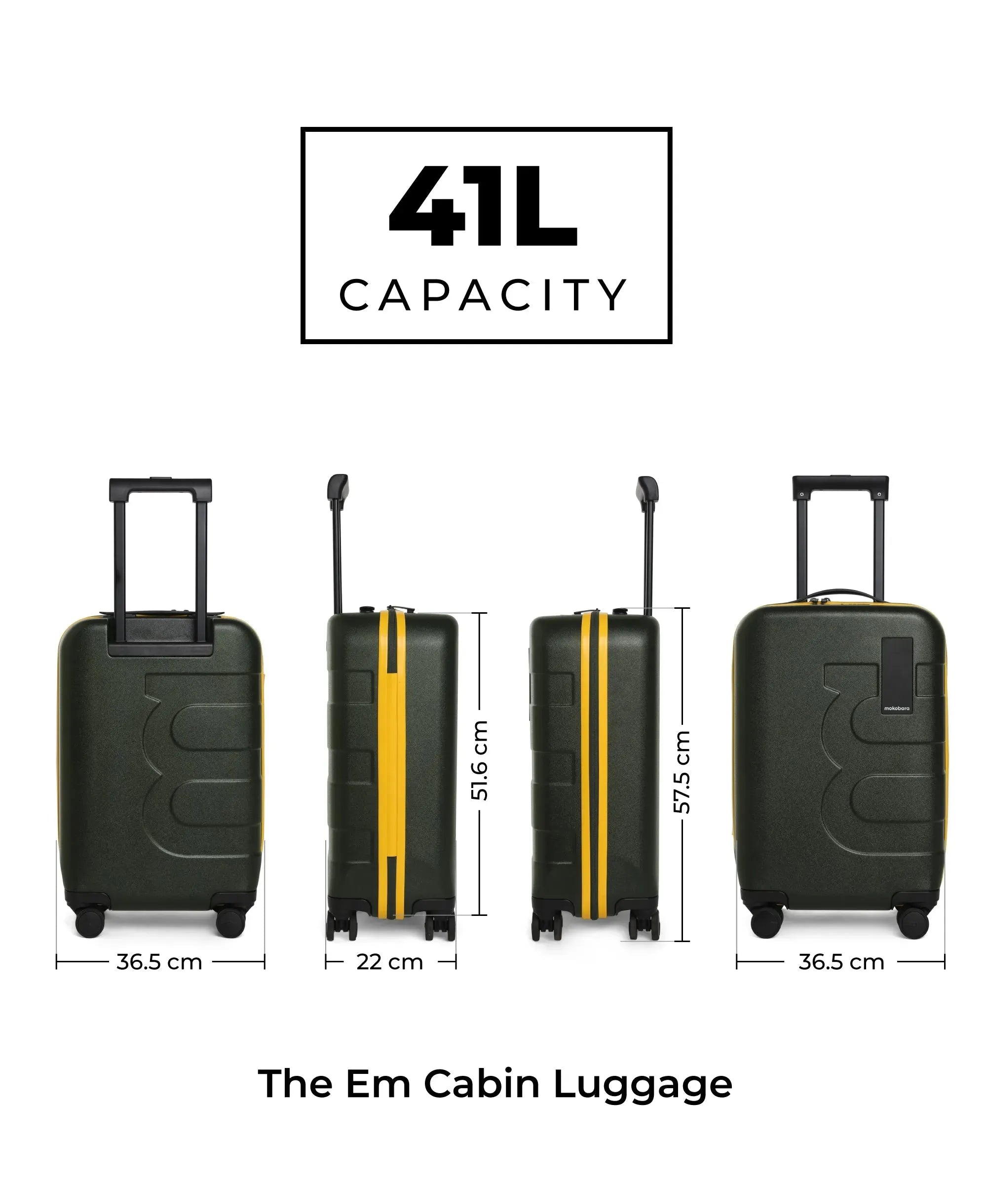 Color_ {{ variants_option }} | The Em Set of 2 Luggage
