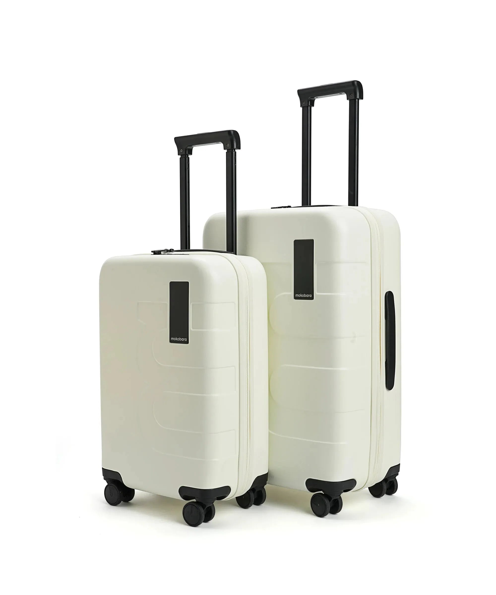 Color_ {{ variants_option }} | The Em Set of 2 Luggage