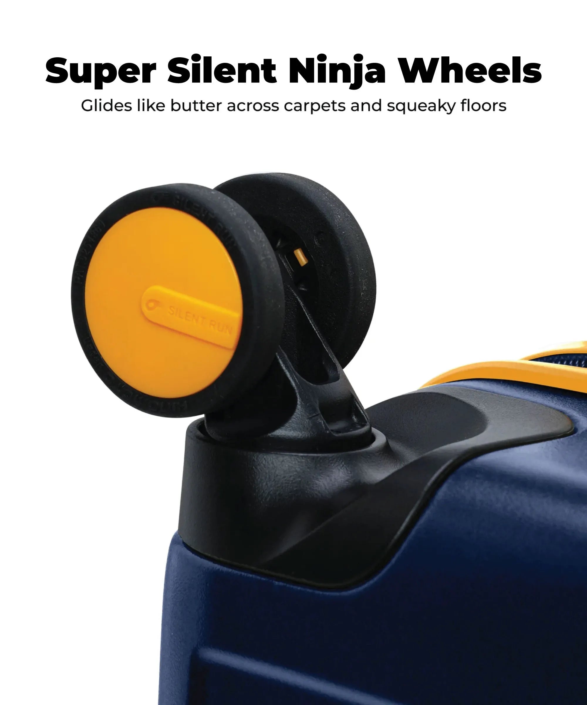 Color_ {{ variants_option }} | The Transit Luggage - Set of 2 (v1.0)