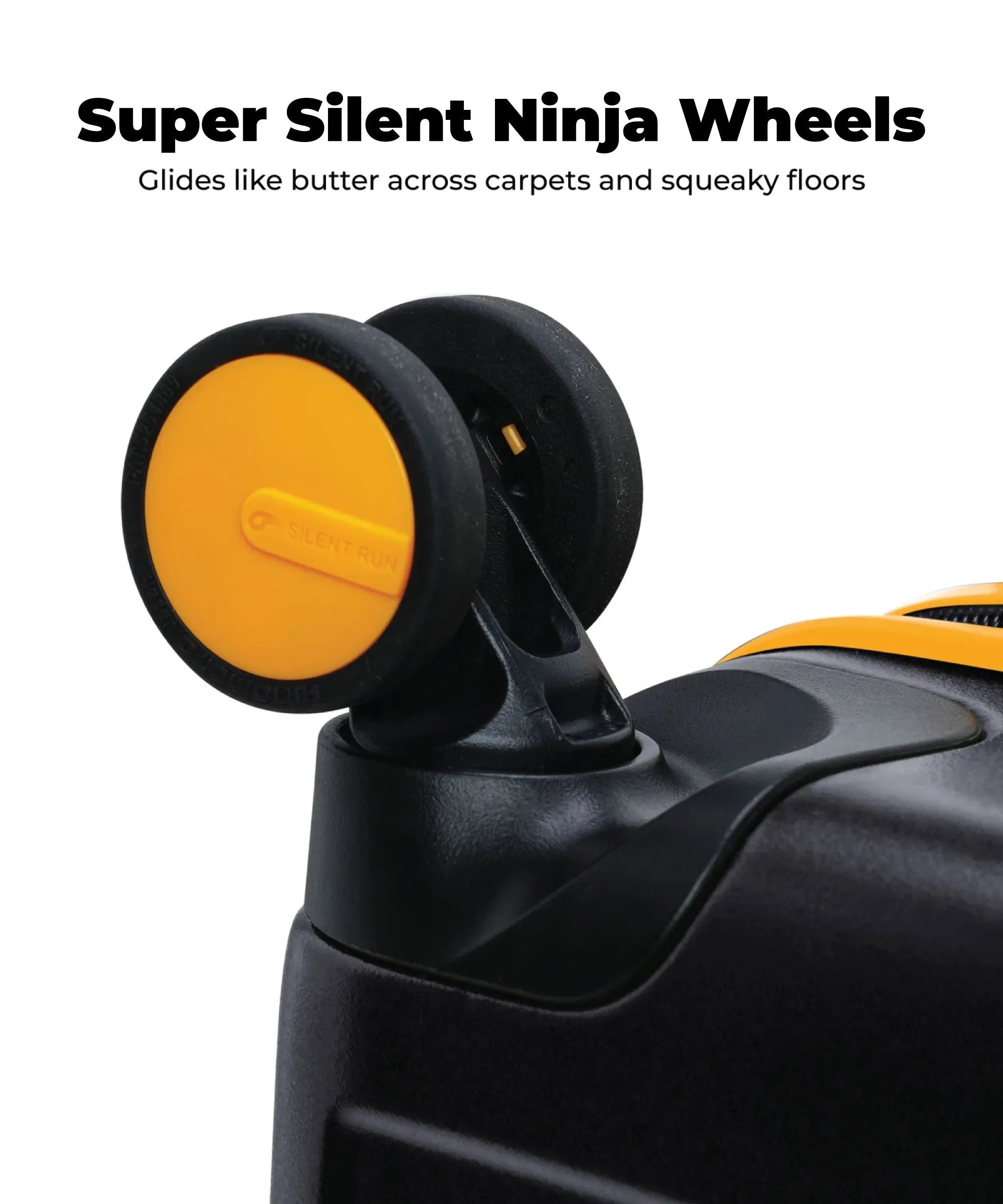 Color_ {{ variants_option }} | The Transit Luggage - Cabin (v1.0)