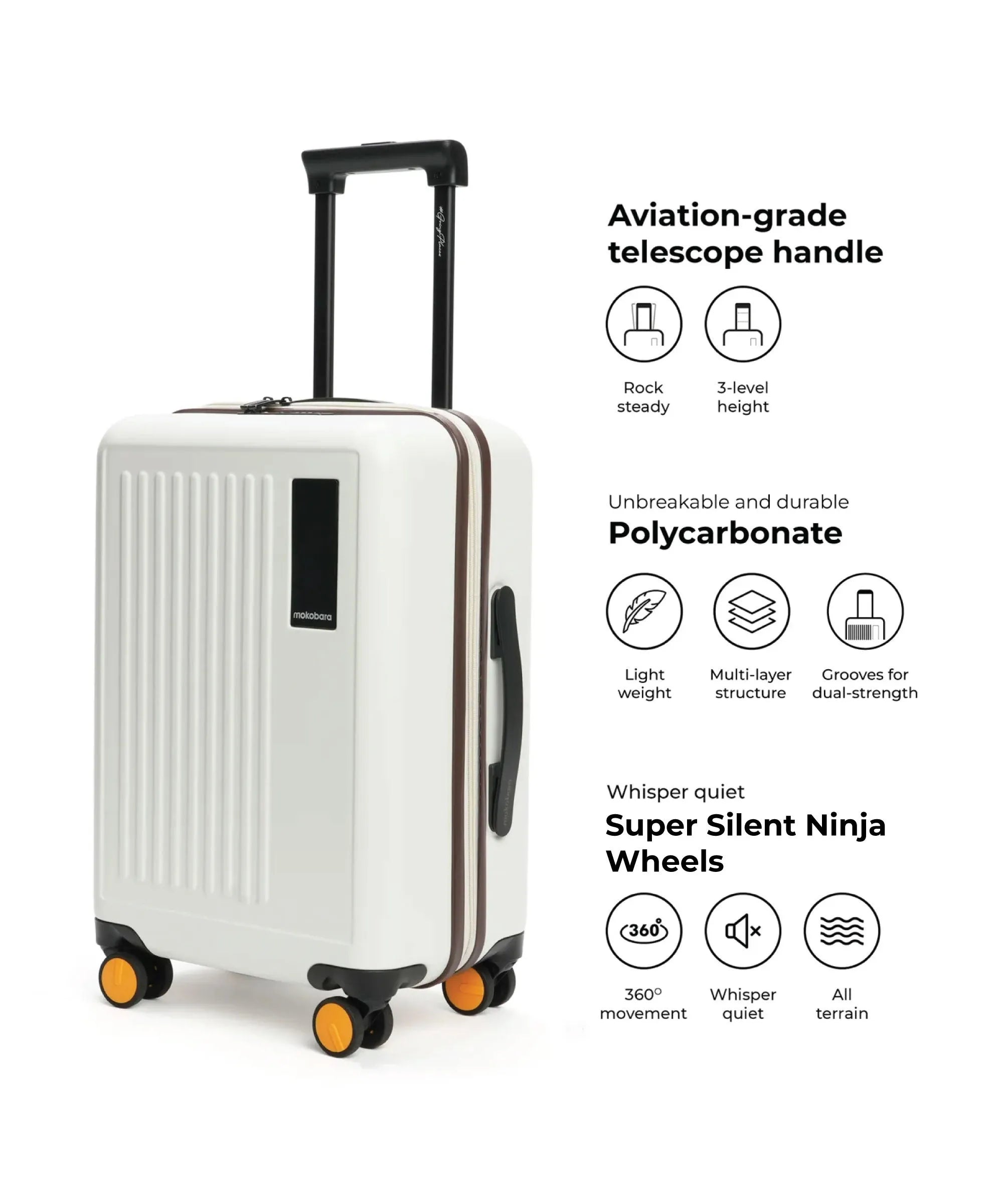 Color_ {{ variants_option }} | The Transit Luggage - Cabin (v1.0)