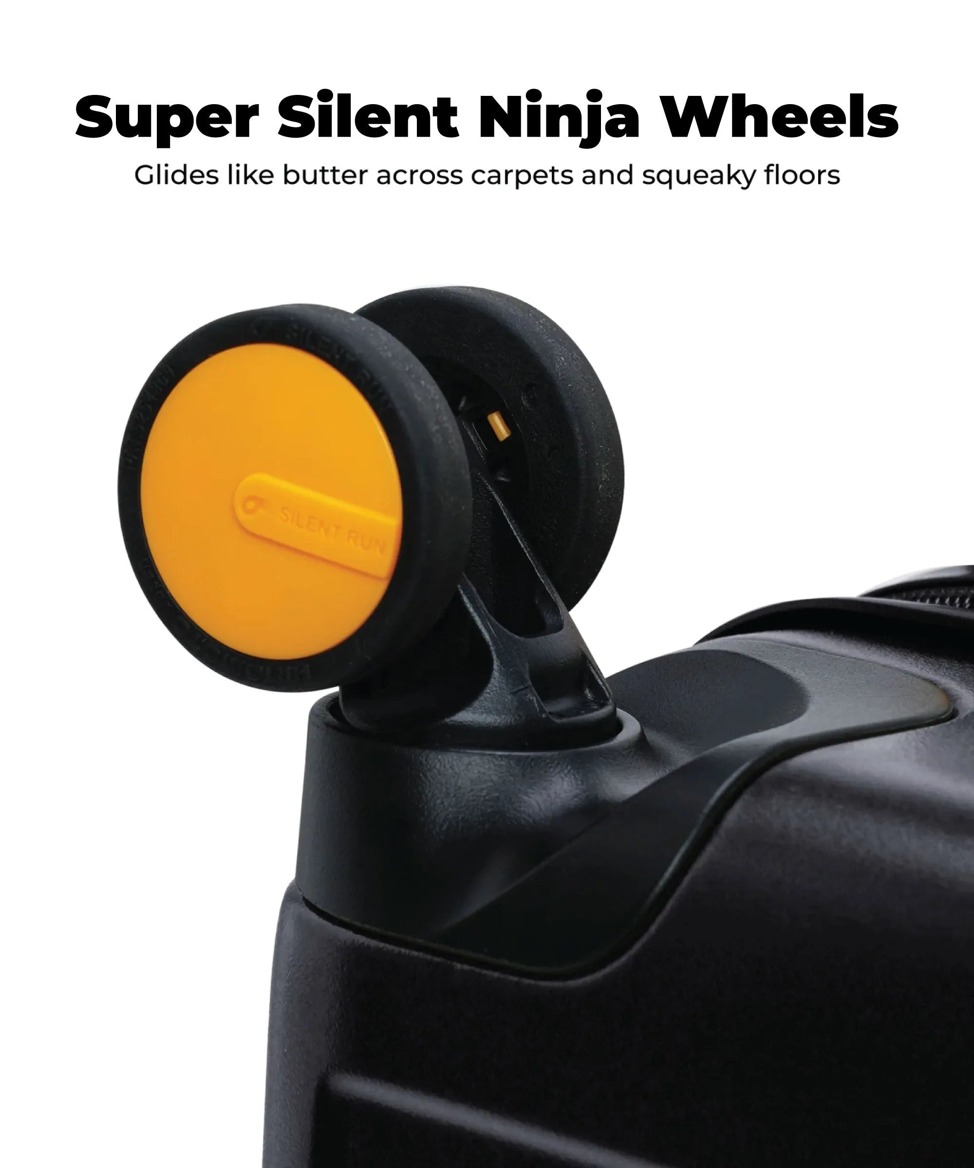 Color_ {{ variants_option }} | The Transit Luggage - Cabin (v1.0)