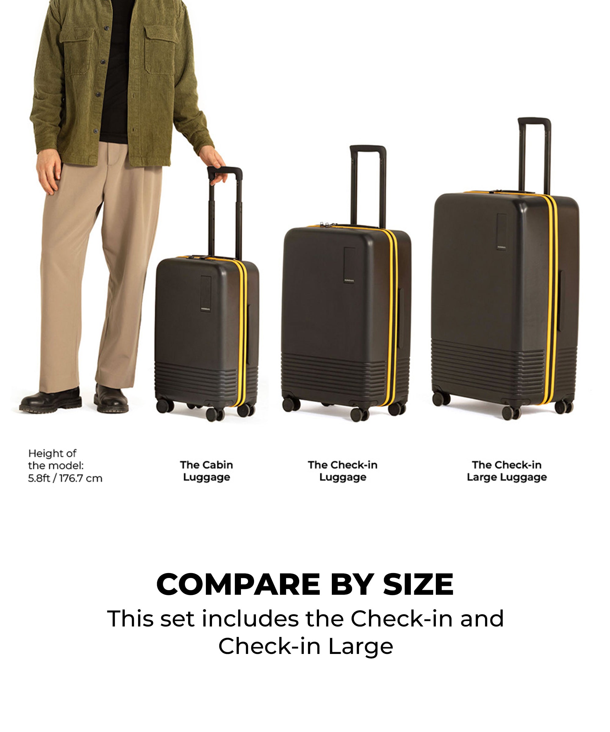 Color_Forest Sunray | The Iconic Luggage_Set of 2(Check-in + Check-in Large)