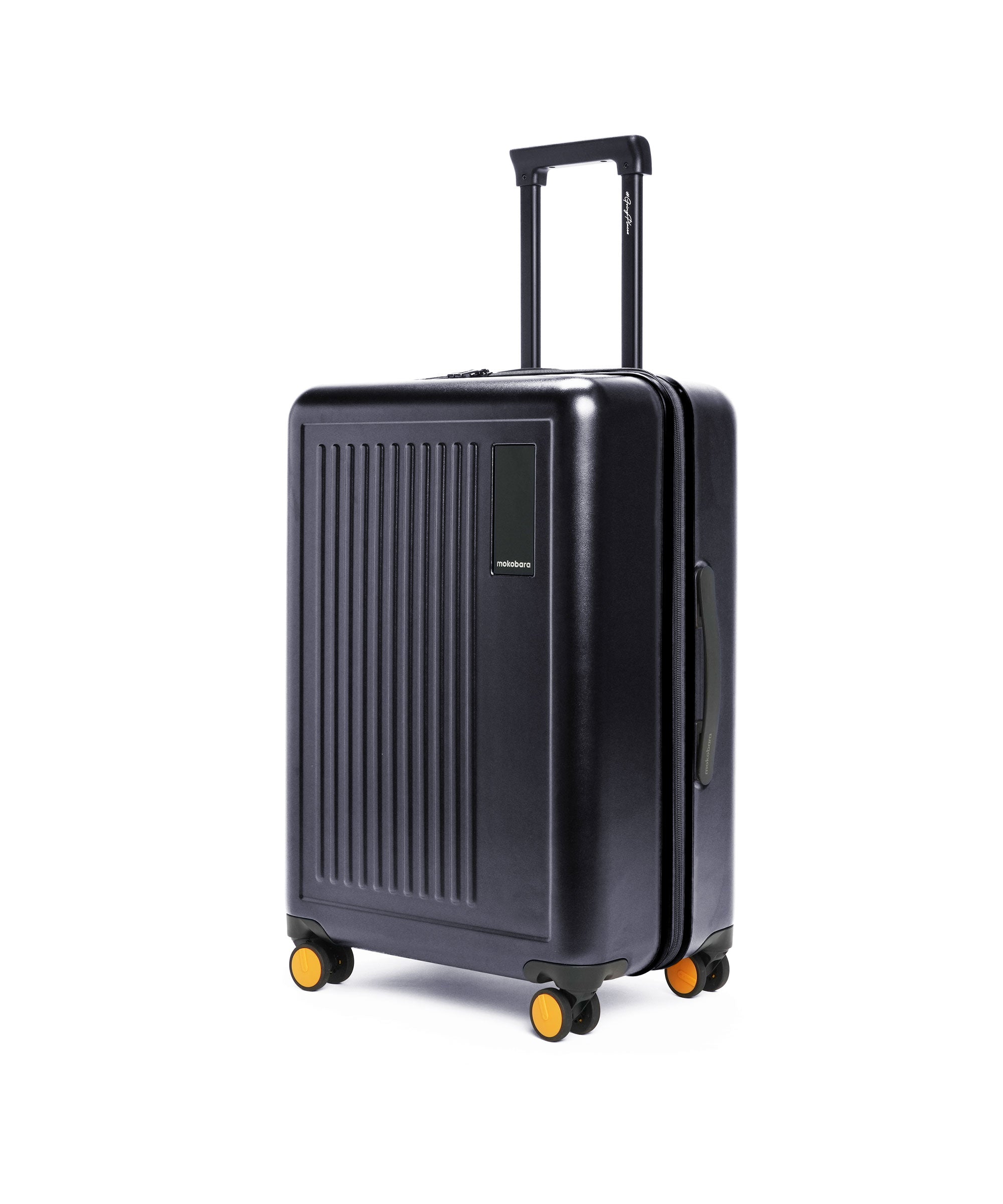 Color_Crypto | The Transit Luggage - Check-in