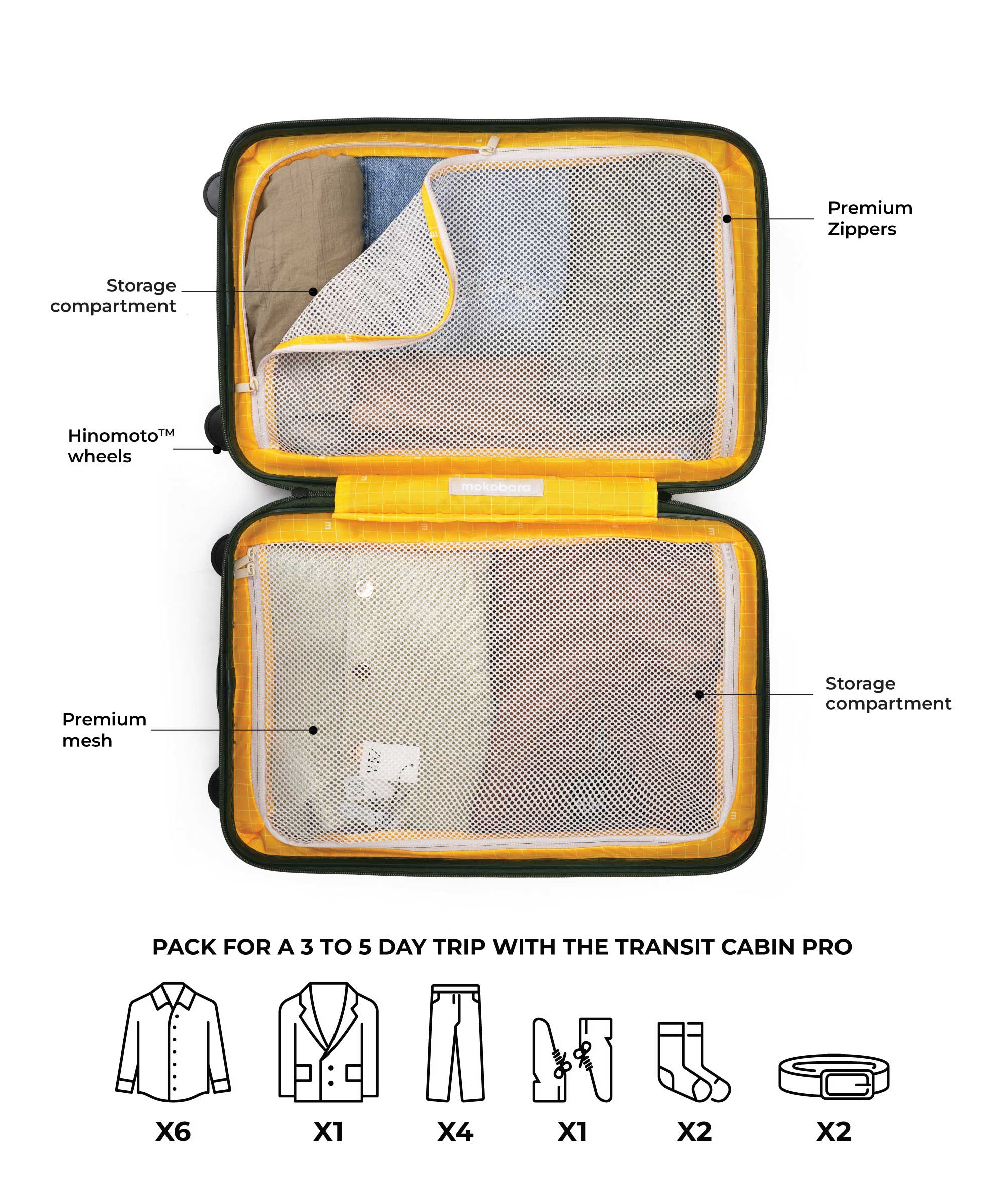 Color_Green Energy Sunray | The Em Cabin Pro