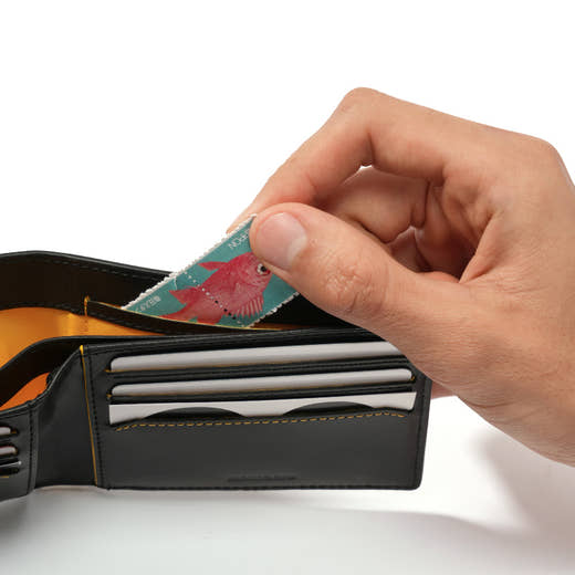 Product Feature Image