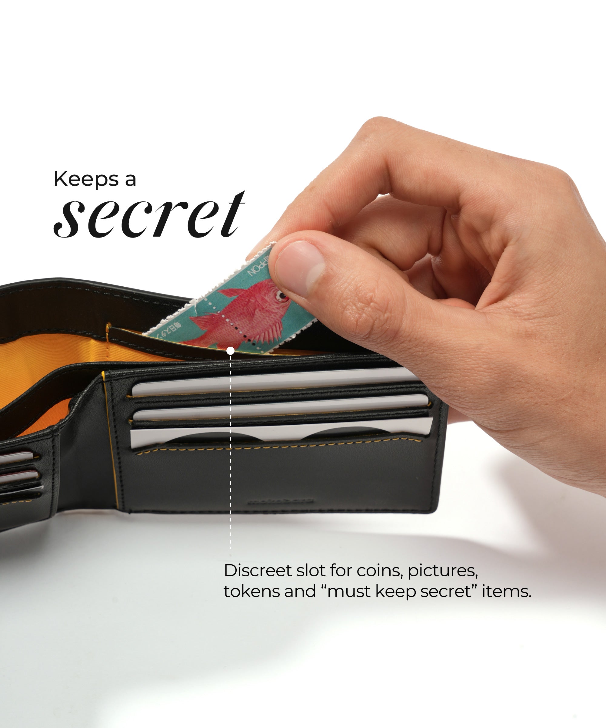 Color_ Money moves wallet | Bifold wallet
