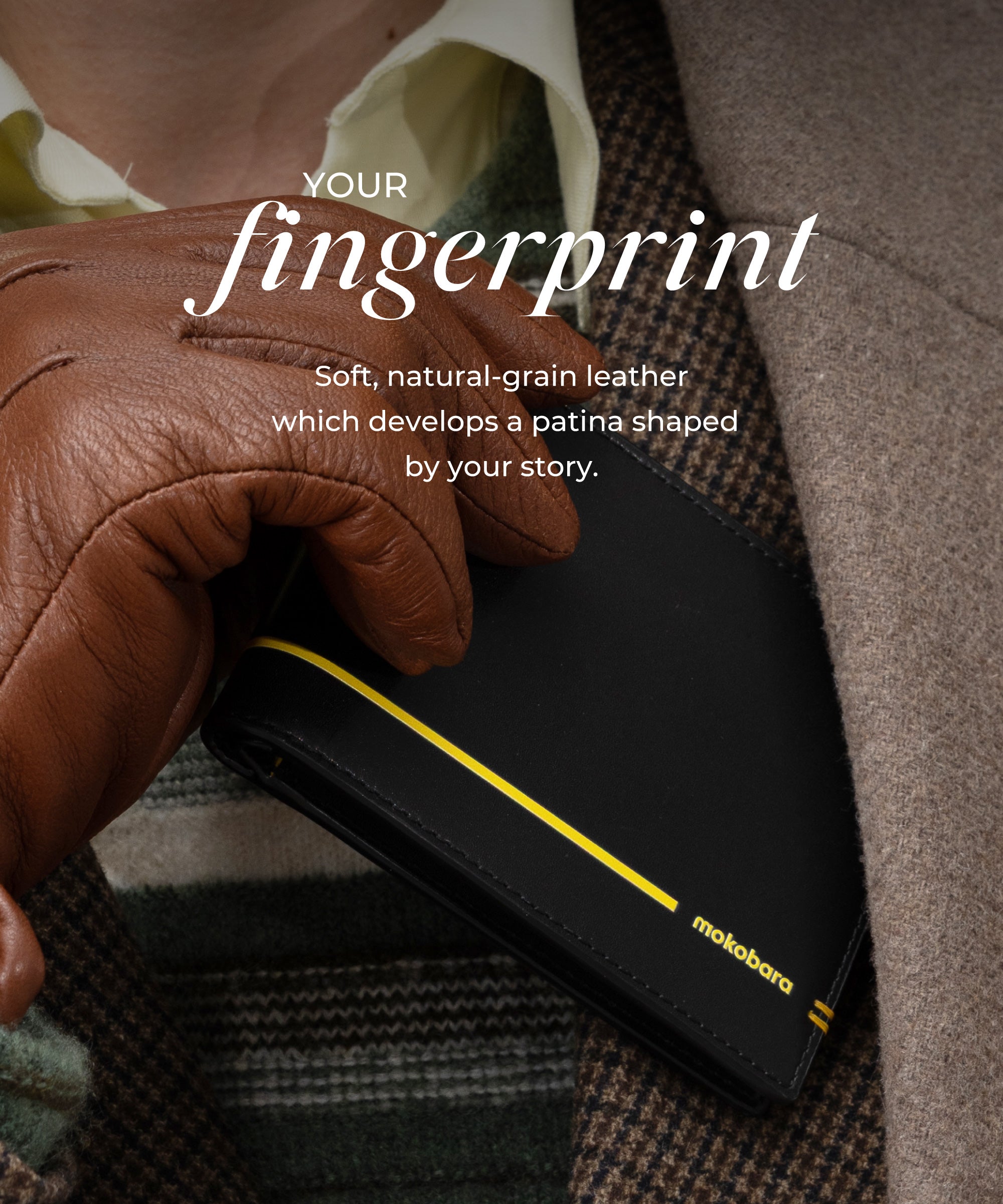 Color_Money Moves | The Stash Bifold Travel Wallet