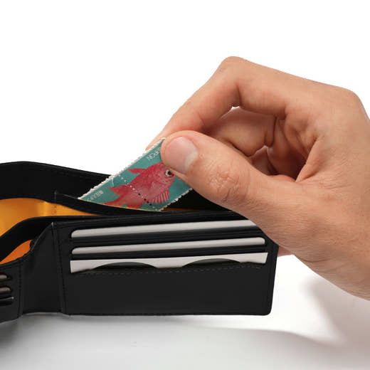 Product Feature Image