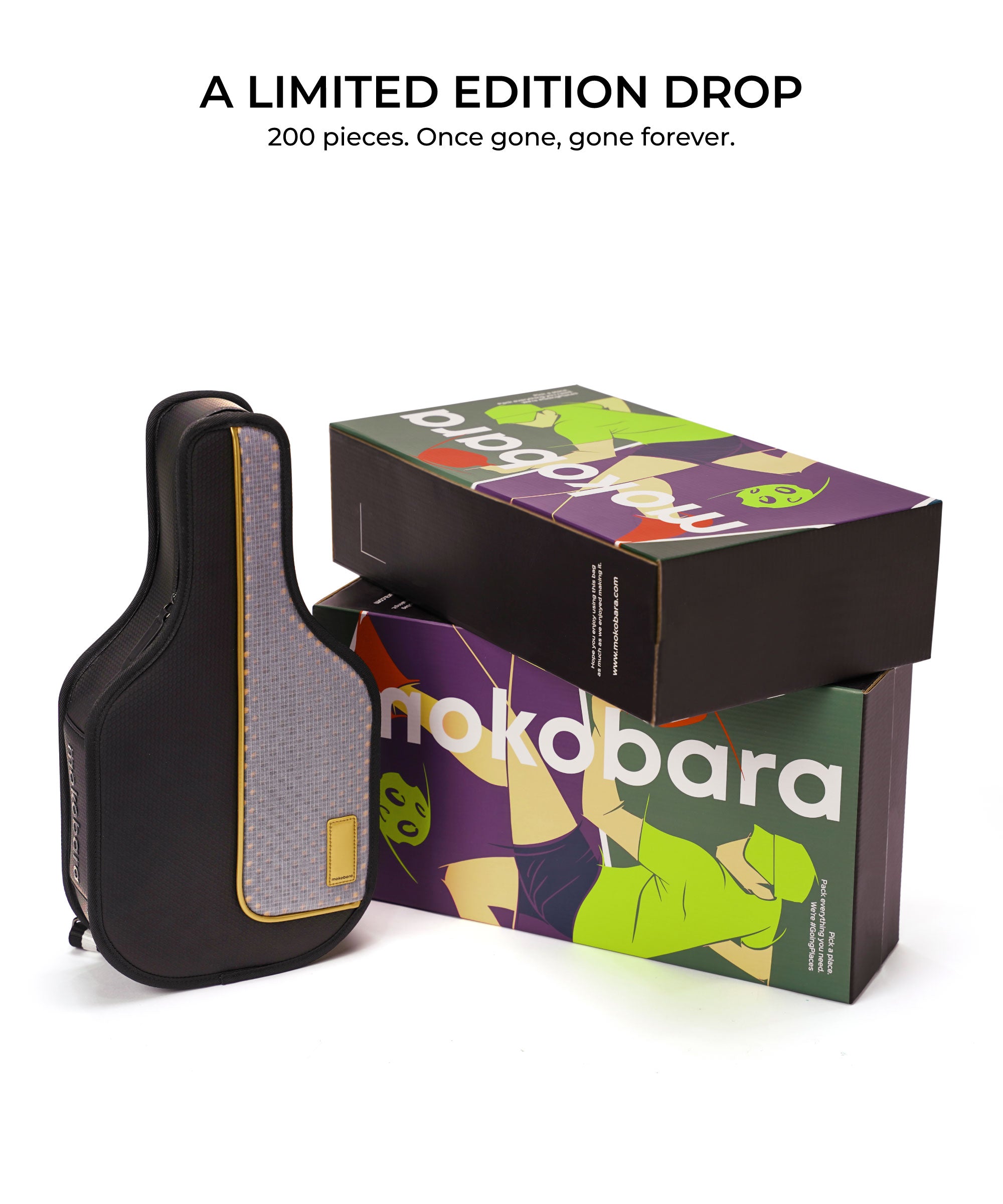 Color_Eclipse | The 4:10 Pickleball Case