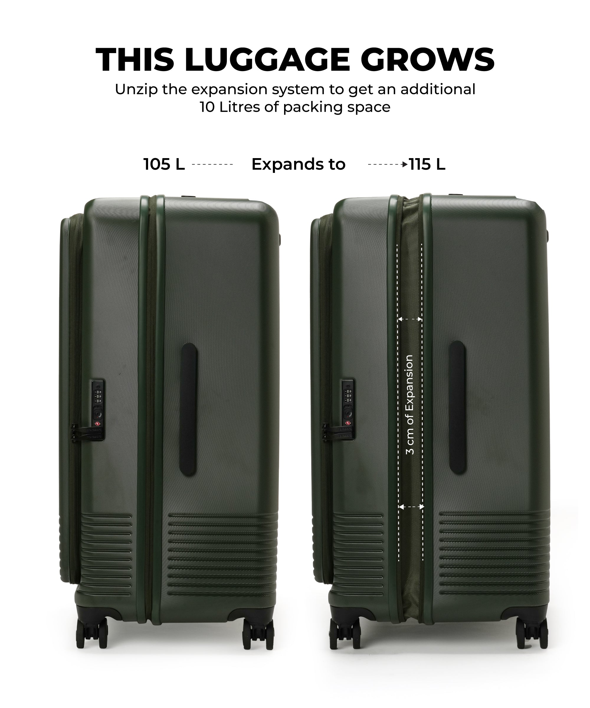 Color_Seaweed Green | The Access Trunk Luggage