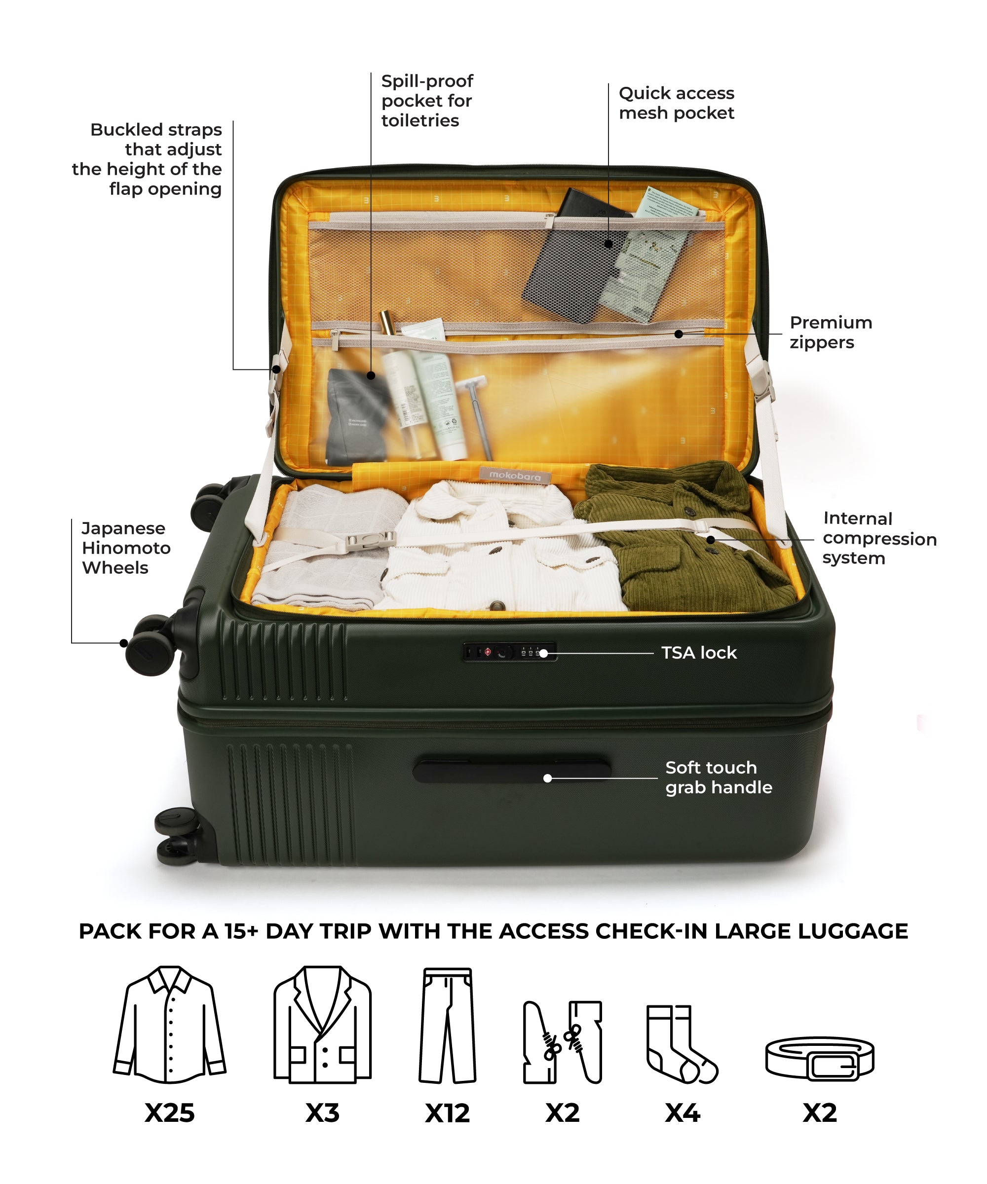 Color_Seaweed Green | The Access Trunk Luggage