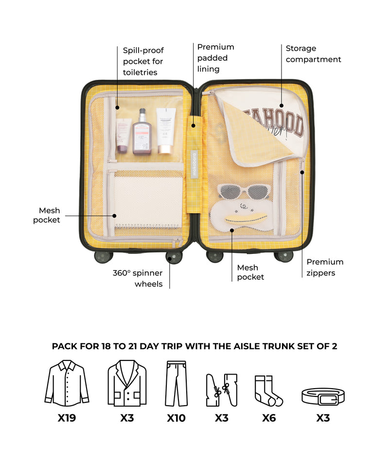 Color_Homegrown | The Aisle Trunk - Set of 2