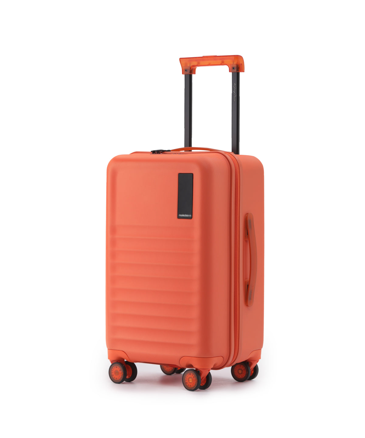 Aisle Trunk - Cabin - Stardust