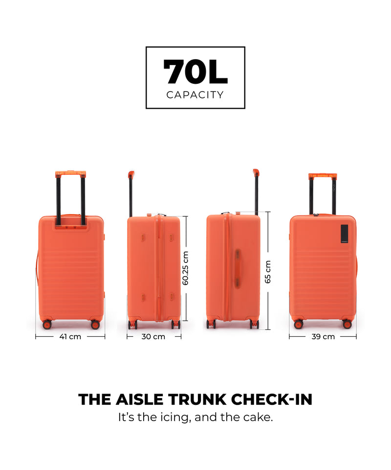 Color_Stardust | The Aisle Trunk - Check-in (Copy)