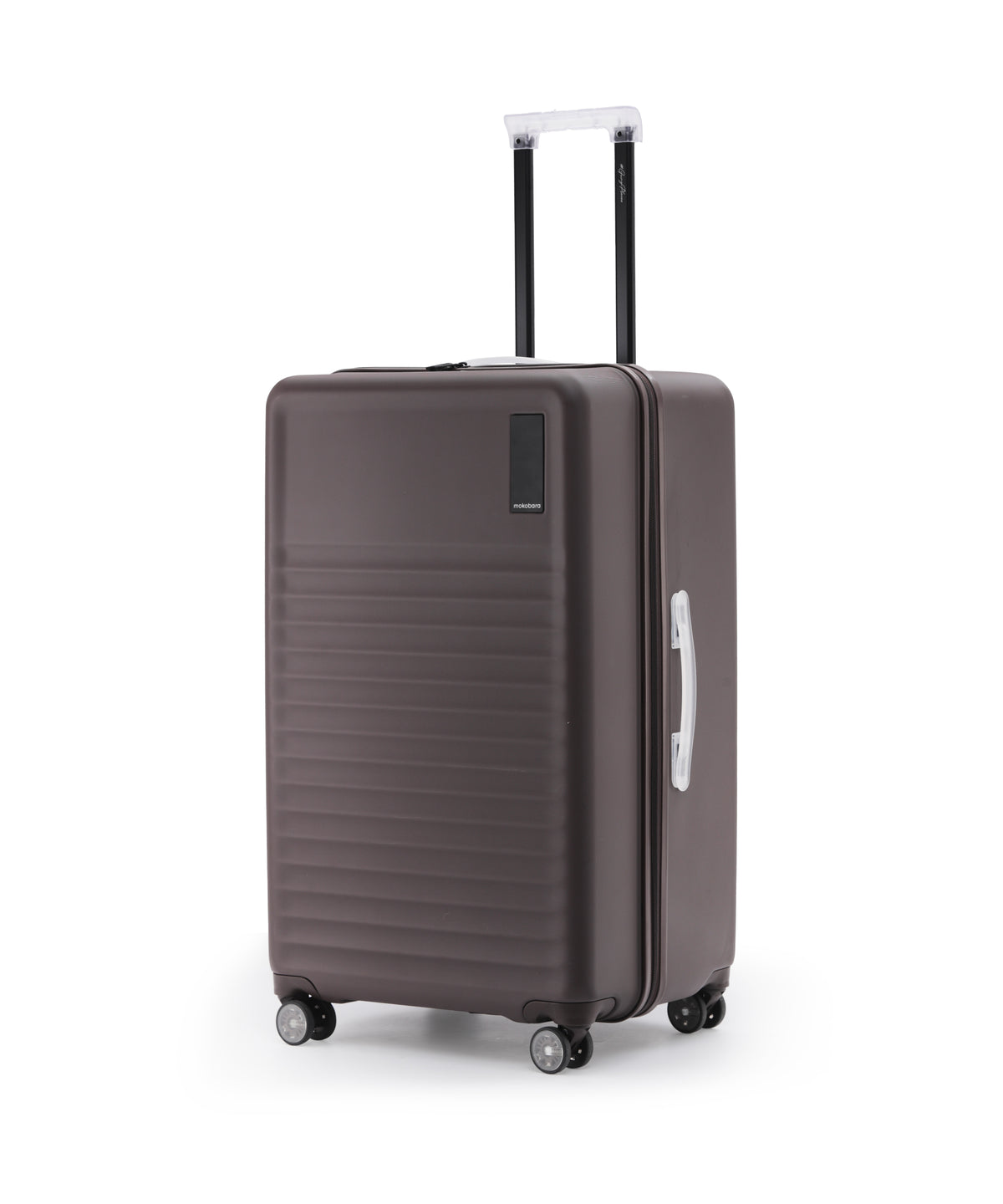 Aisle Trunk - Large - Cool Beans