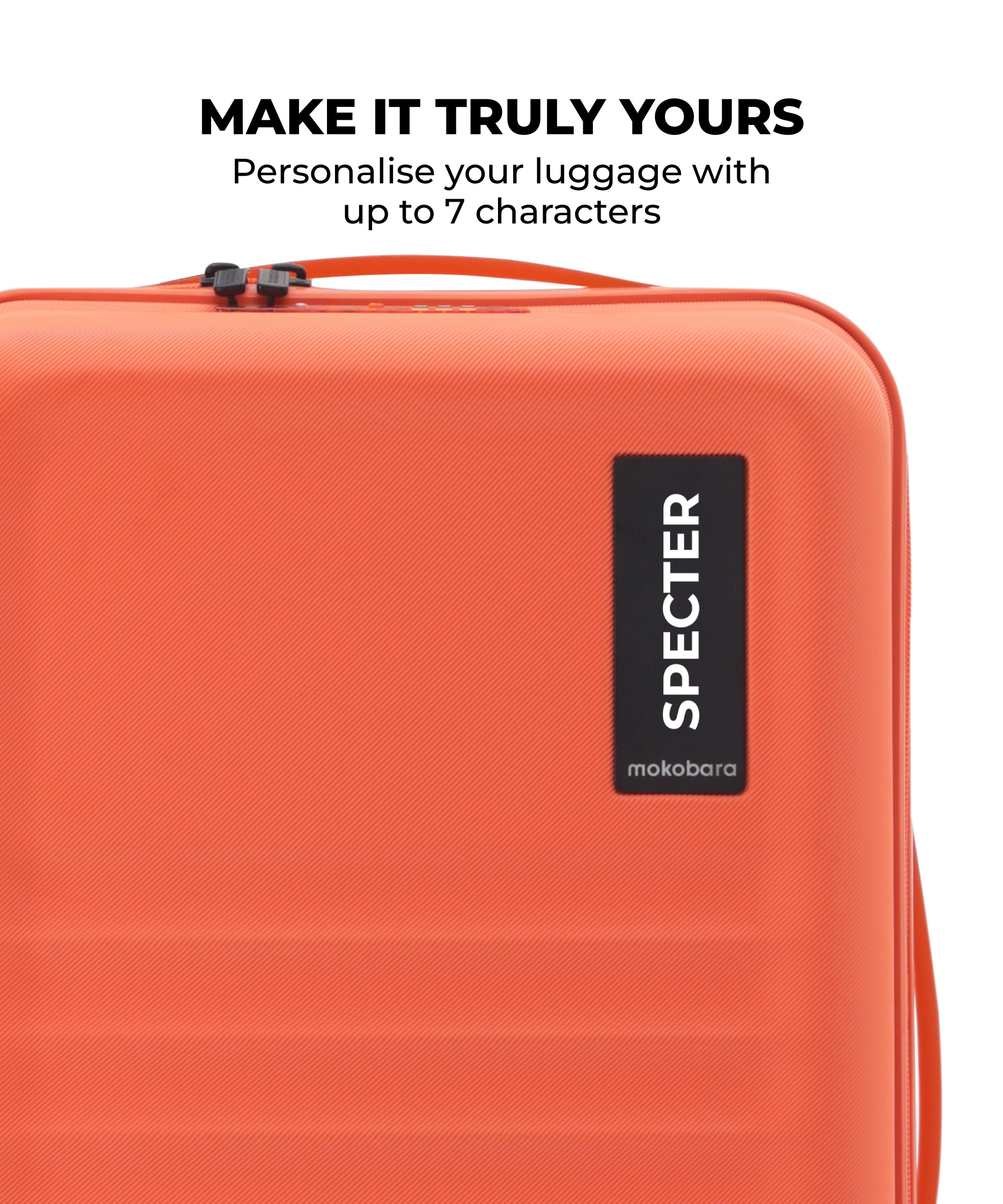 Color_Stardust | The Aisle Trunk - Large