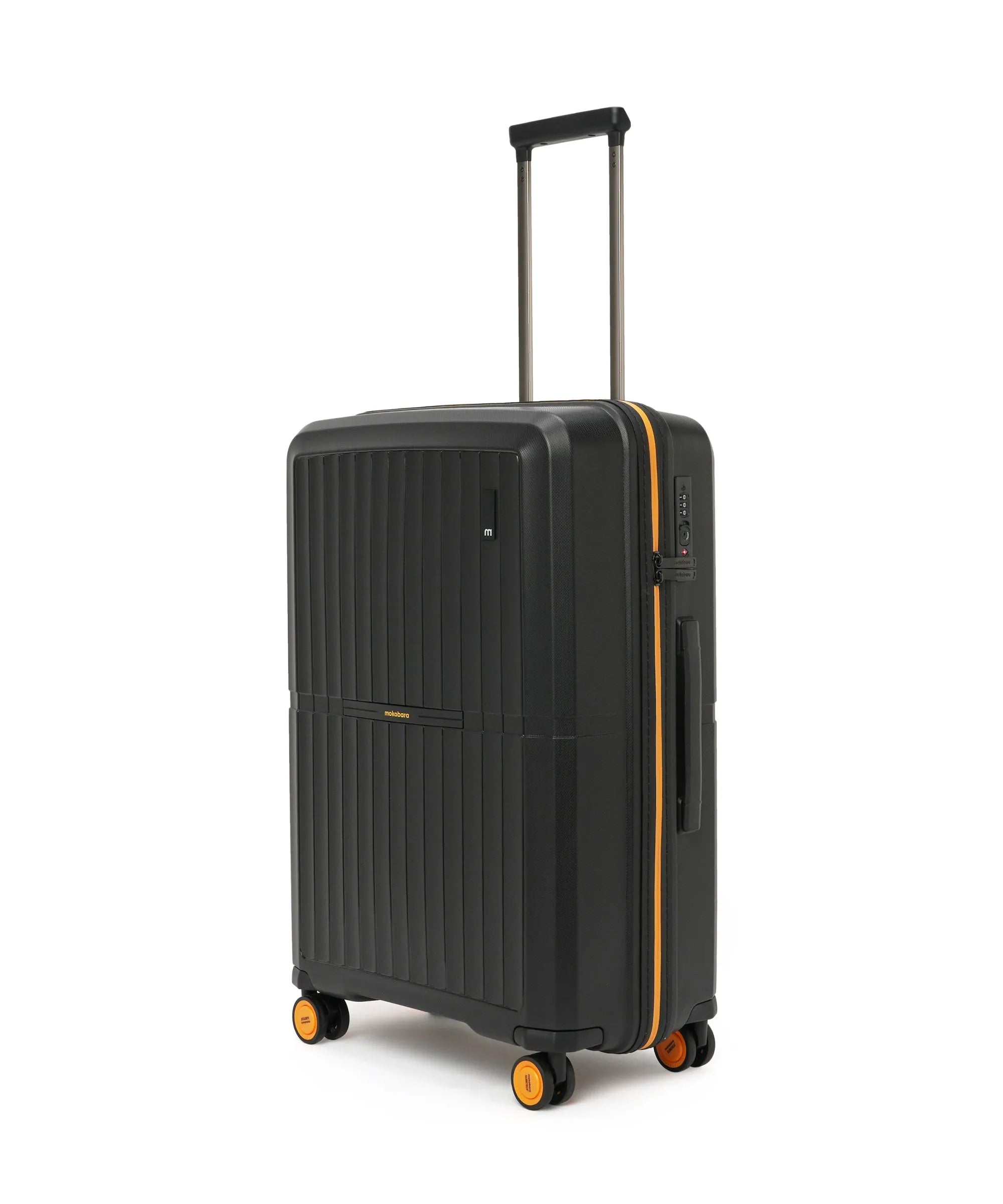The Aviator Check-In Luggage