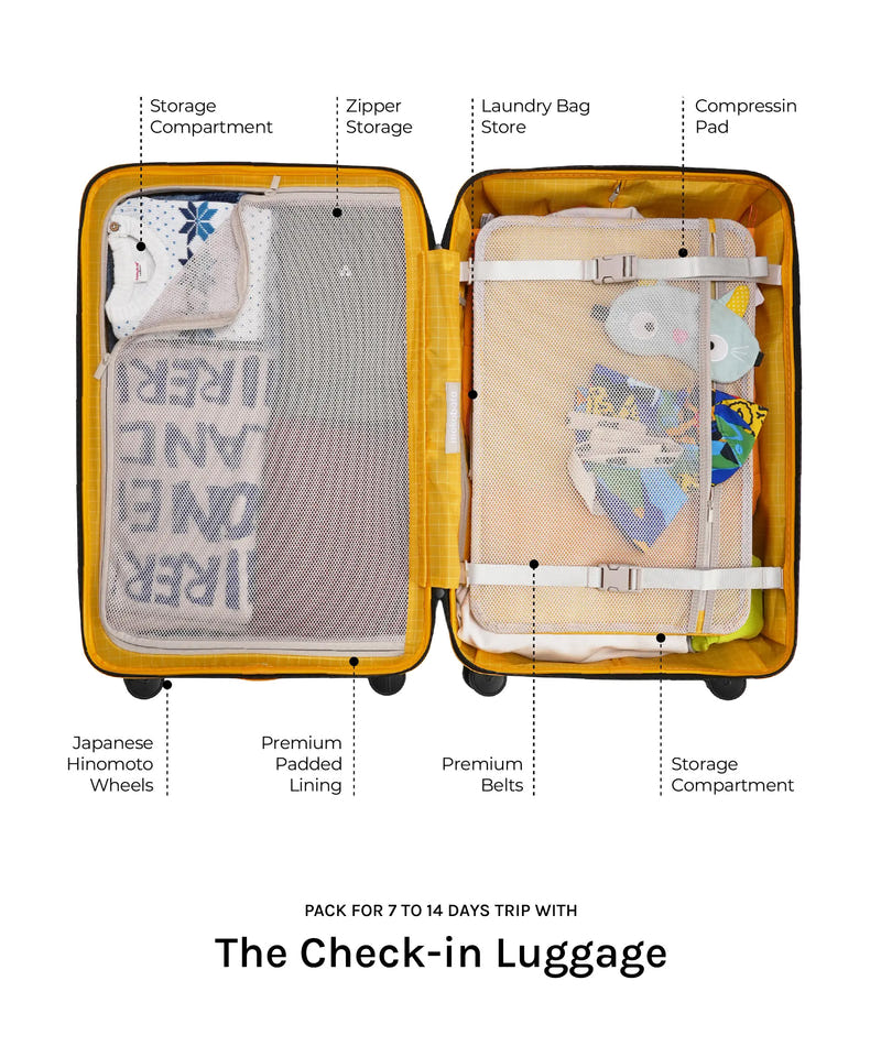 Check-in Luggage