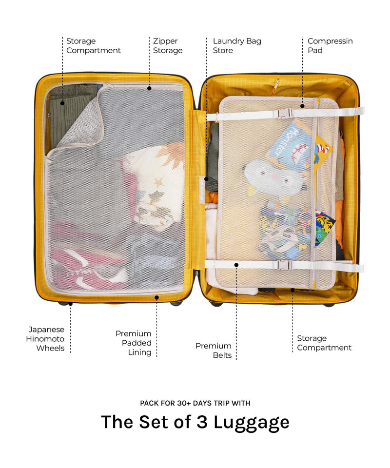 Set of 3 Luggage
