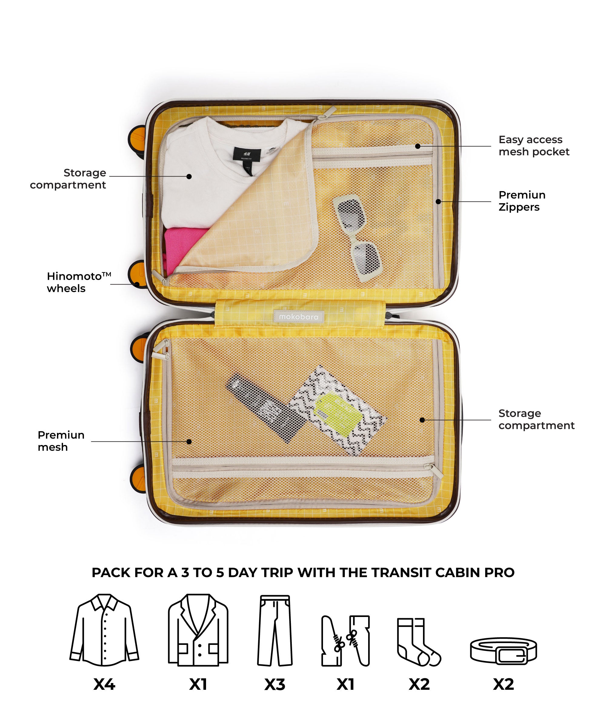 Color_Still Loading Brownray | The Transit Cabin Pro