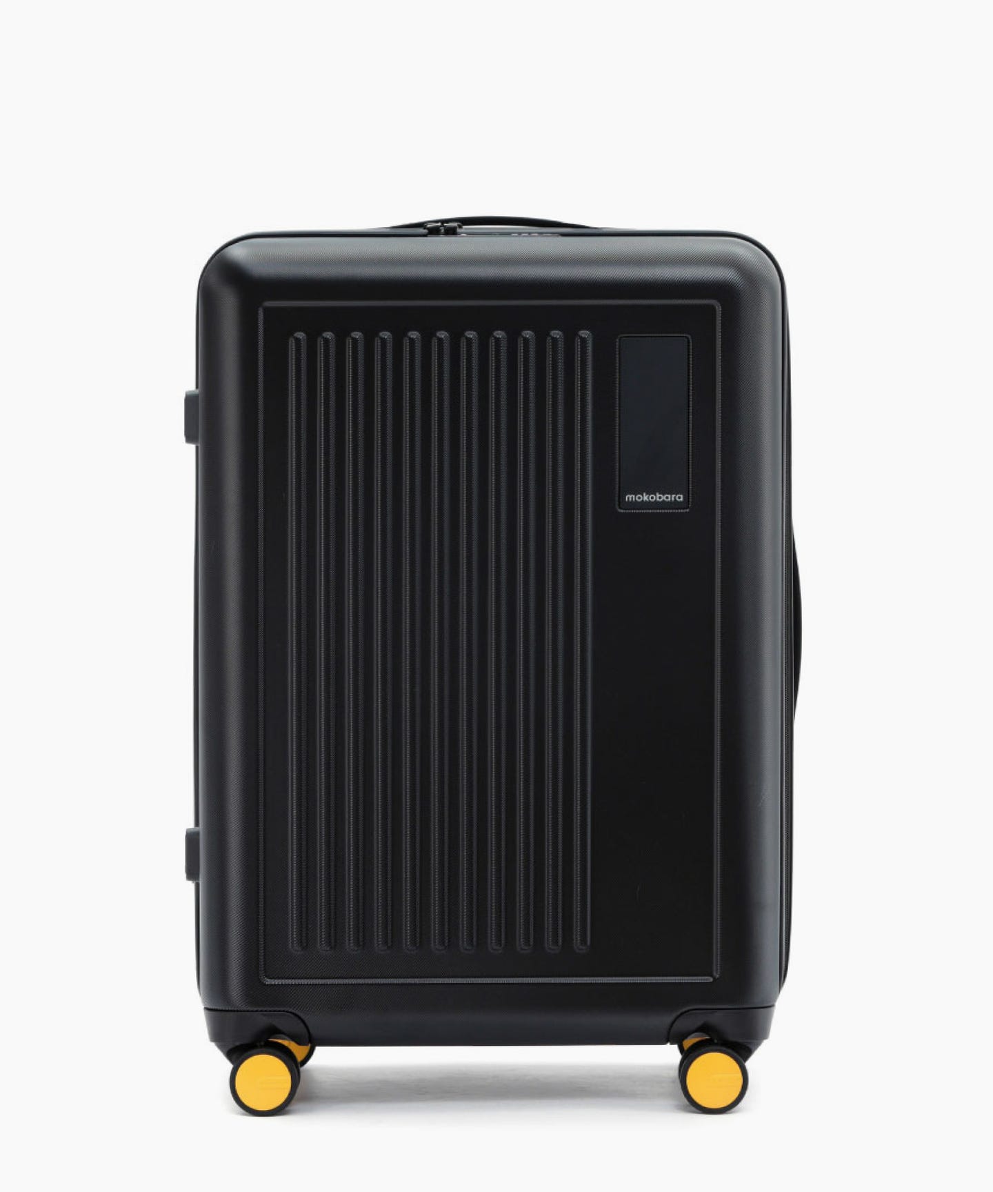 Transit Luggage - Check-in