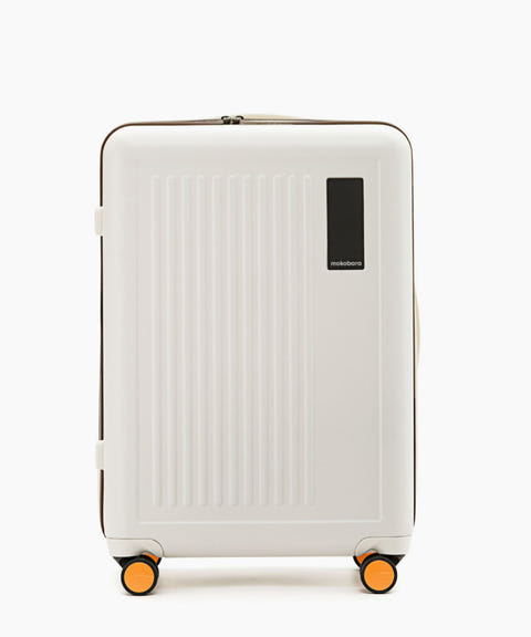 Transit Luggage - Check-in