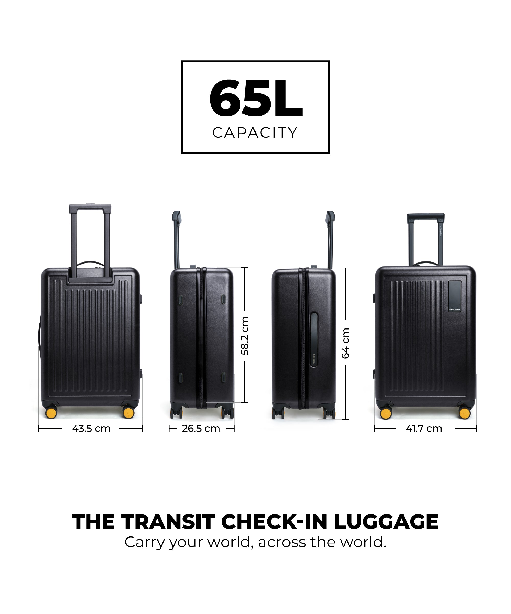 Color_Crypto | The Transit Luggage - Check-in