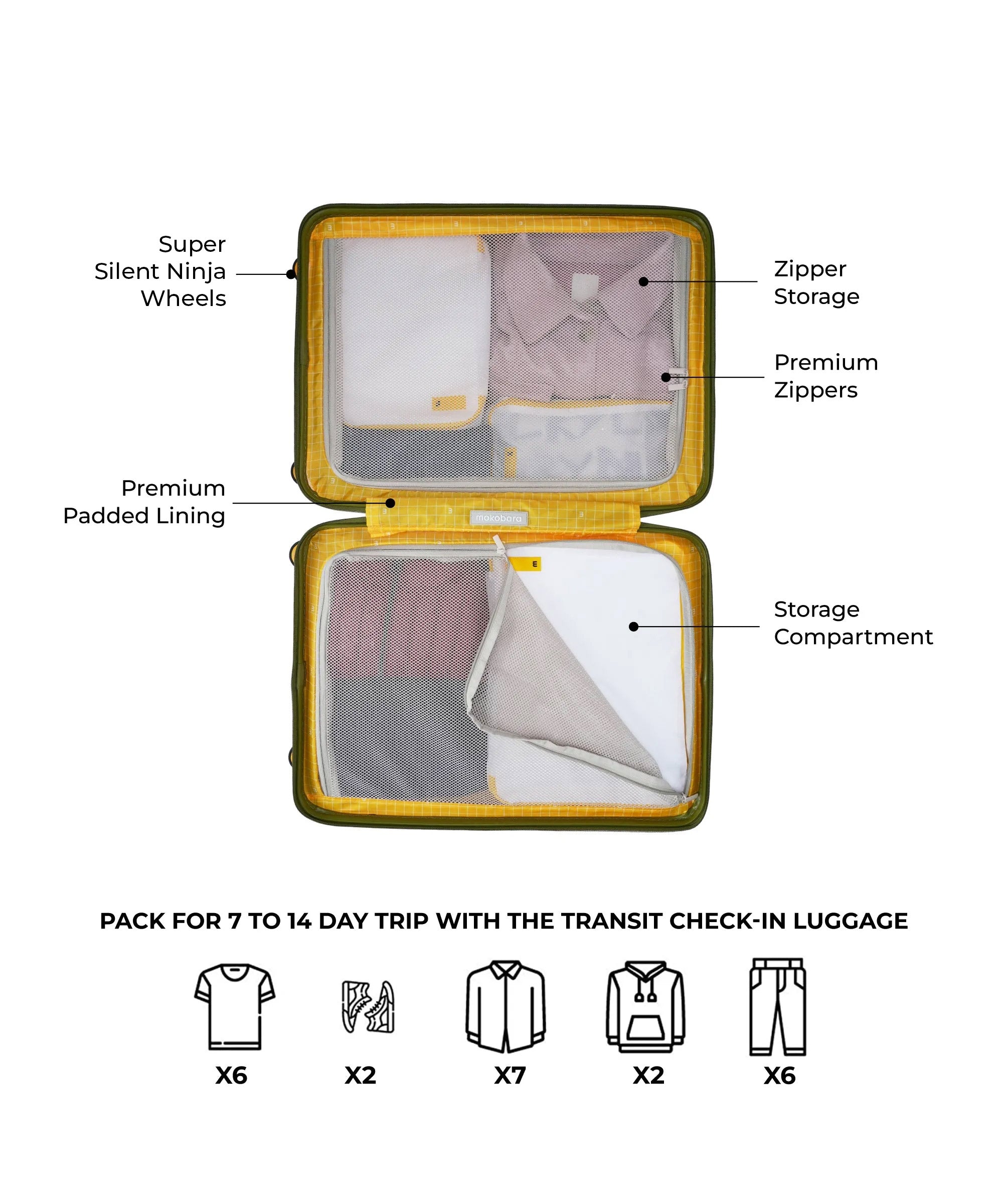 Color_Crypto Sunray (Limited Edition) | The Transit Luggage - Check-in