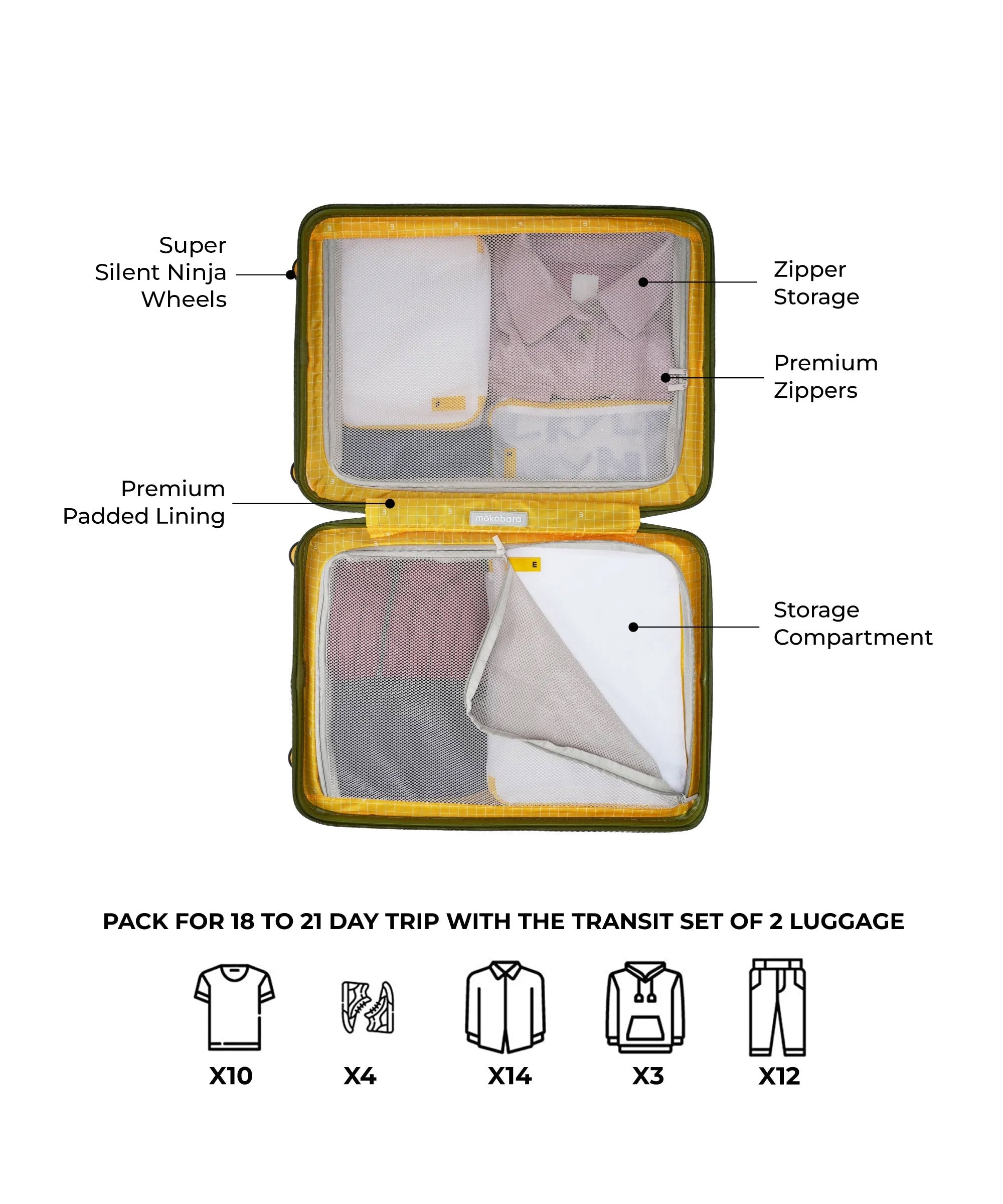 Color_Crypto | The Transit Luggage - Set of 2