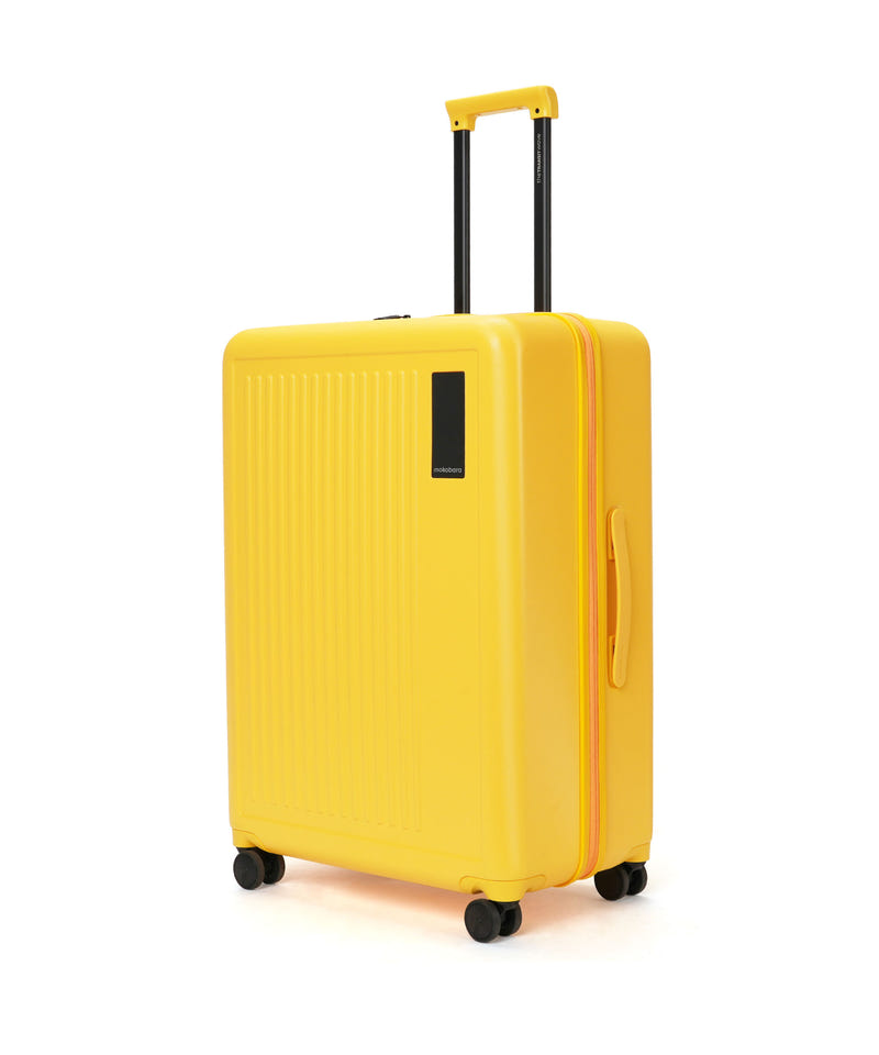 Transit Luggage - Check-in Large