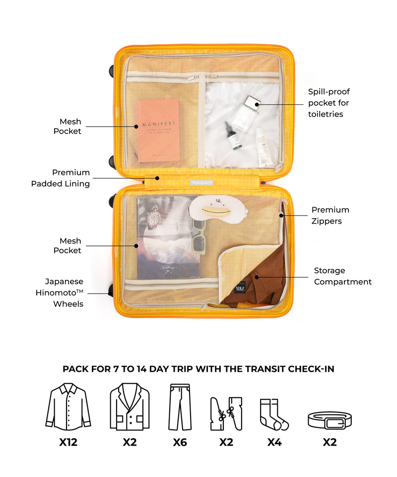 Transit Luggage - Check-in
